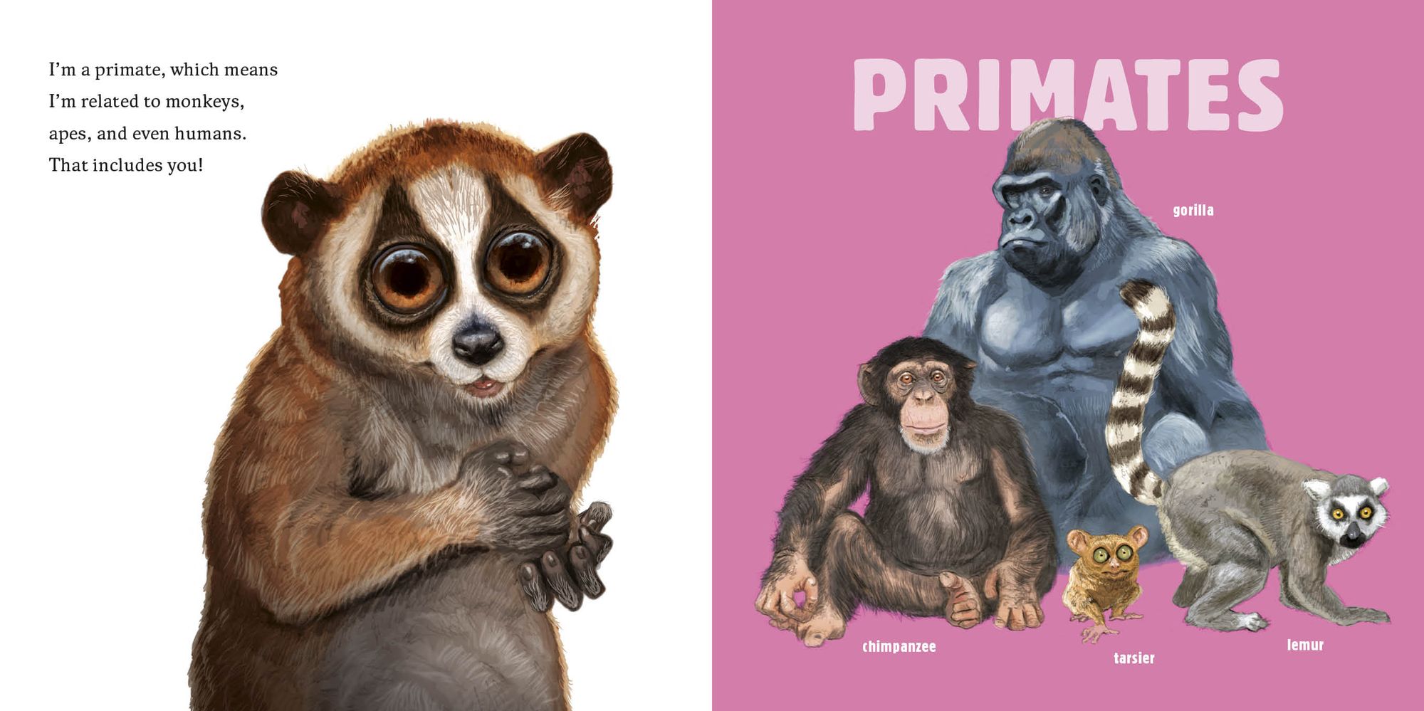 Hello, I'm a Loris (Meet the Wild Things, Book 6)