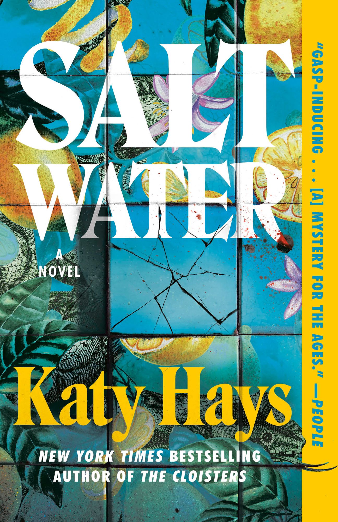 Saltwater: A Novel