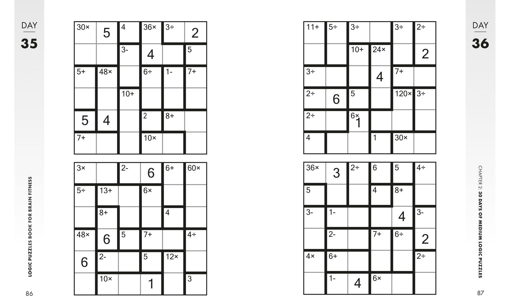 Logic Puzzles Book for Brain Fitness: 90-Day Challenge to Sharpen the Mind and Strengthen Cognitive Skills Enlarged Print, Easy to Hard!