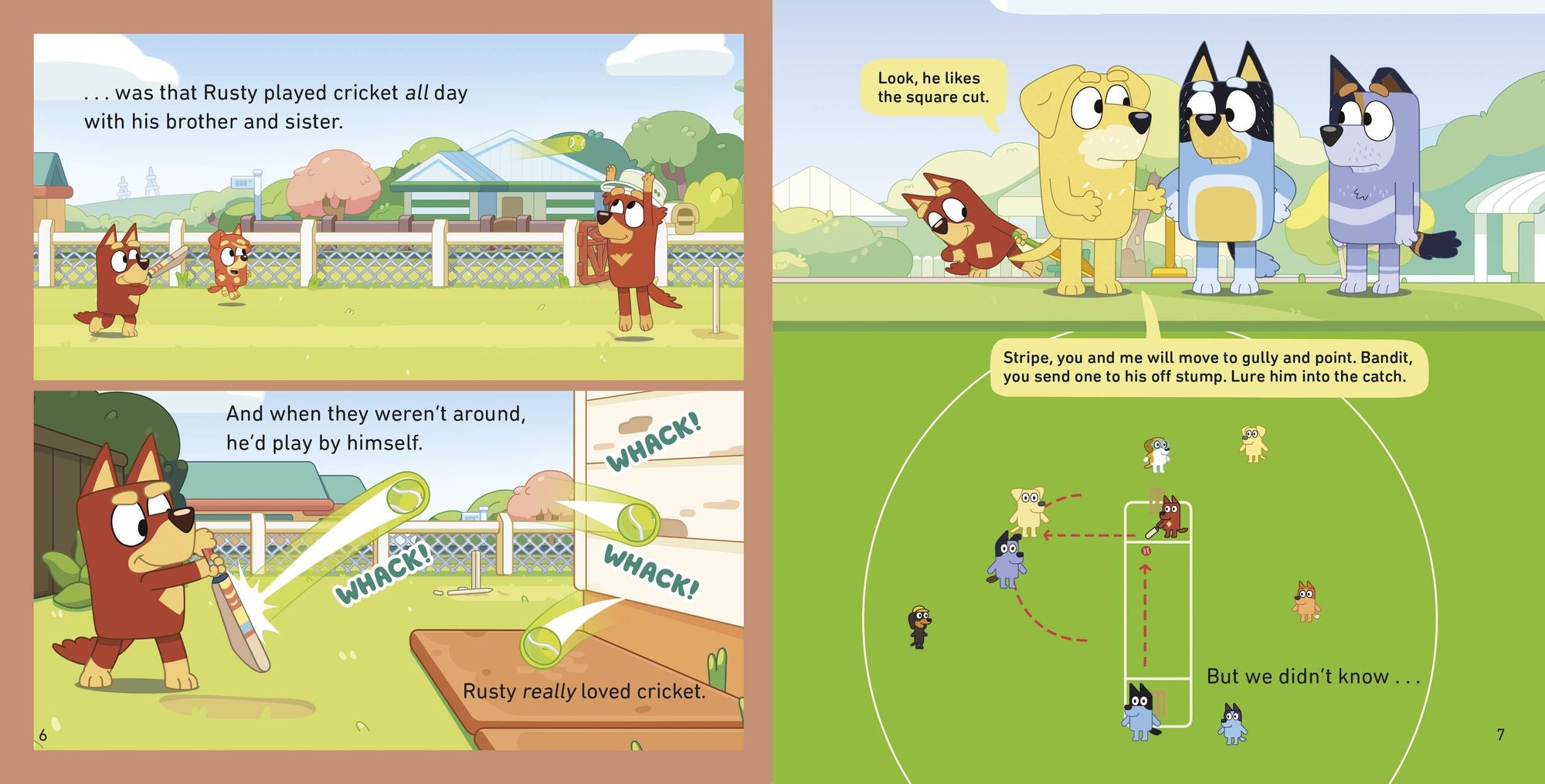 Bluey: Cricket