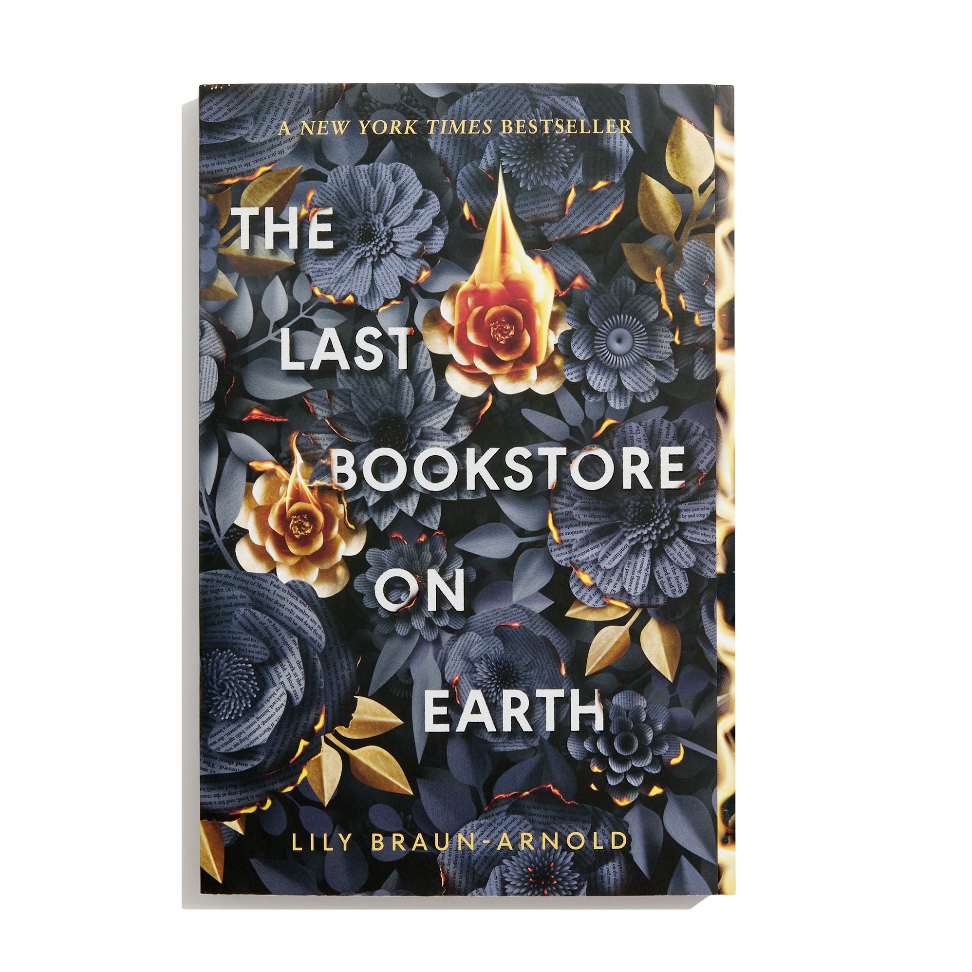 The Last Bookstore on Earth