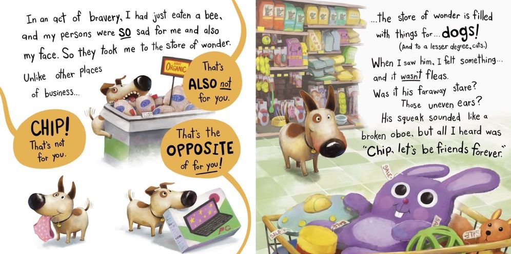 Don't Lose Mr. Cuddles: Life Lessons from Chip the Dog
