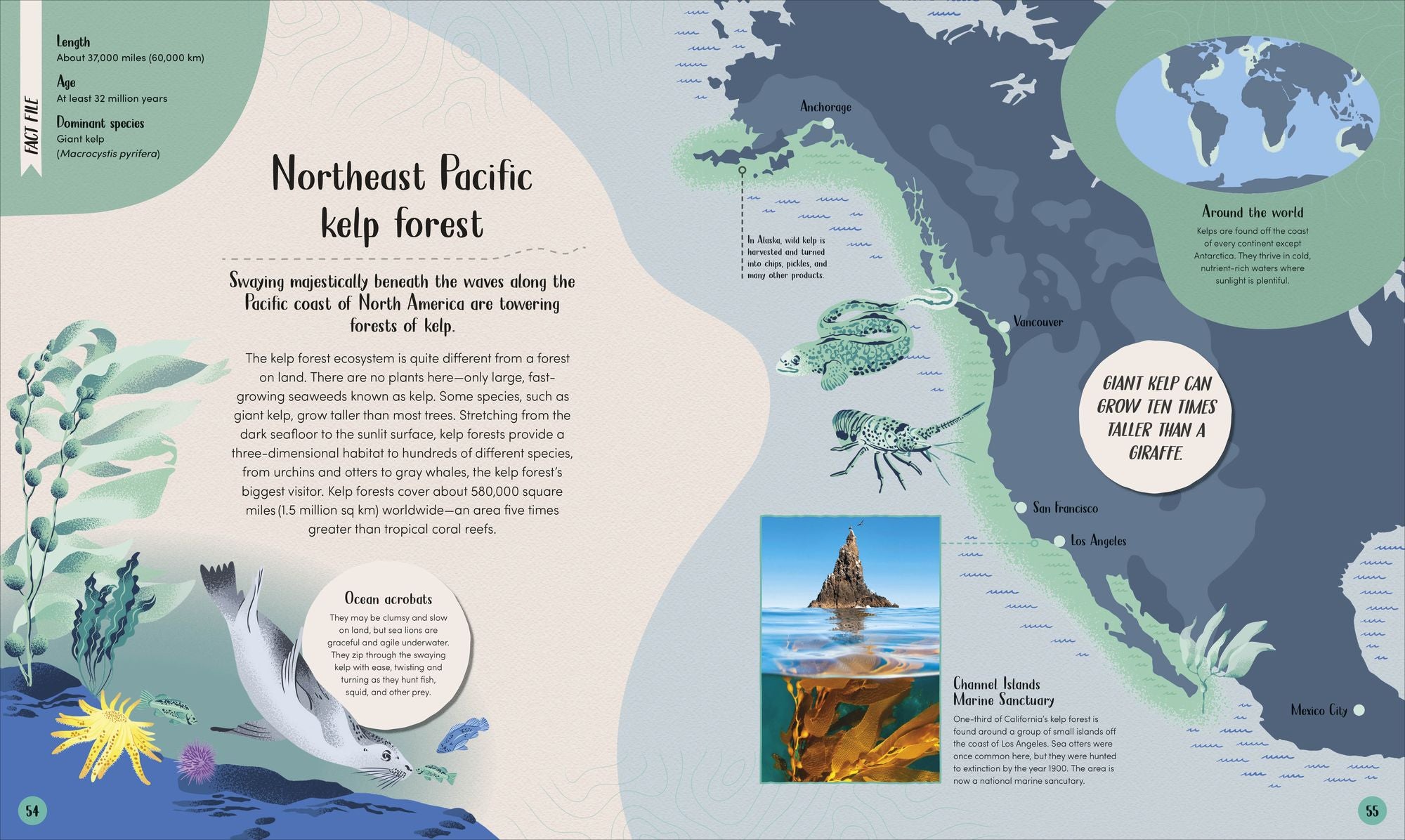 Ocean: Dive In and Discover the World Beneath the Waves