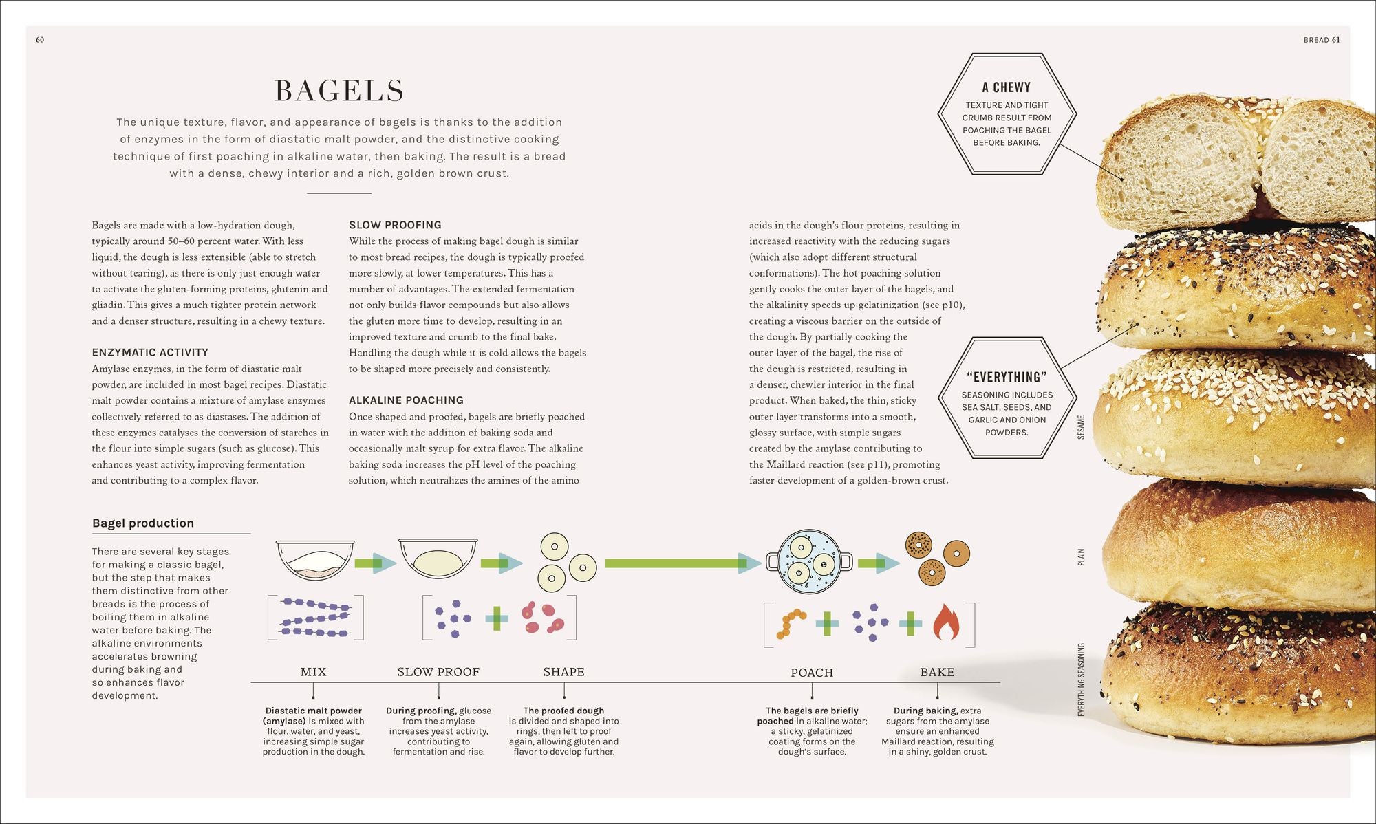 The Science of Baking: Everything You Need to Know to Create Perfect Sweet and Savory Bakes, Every Time