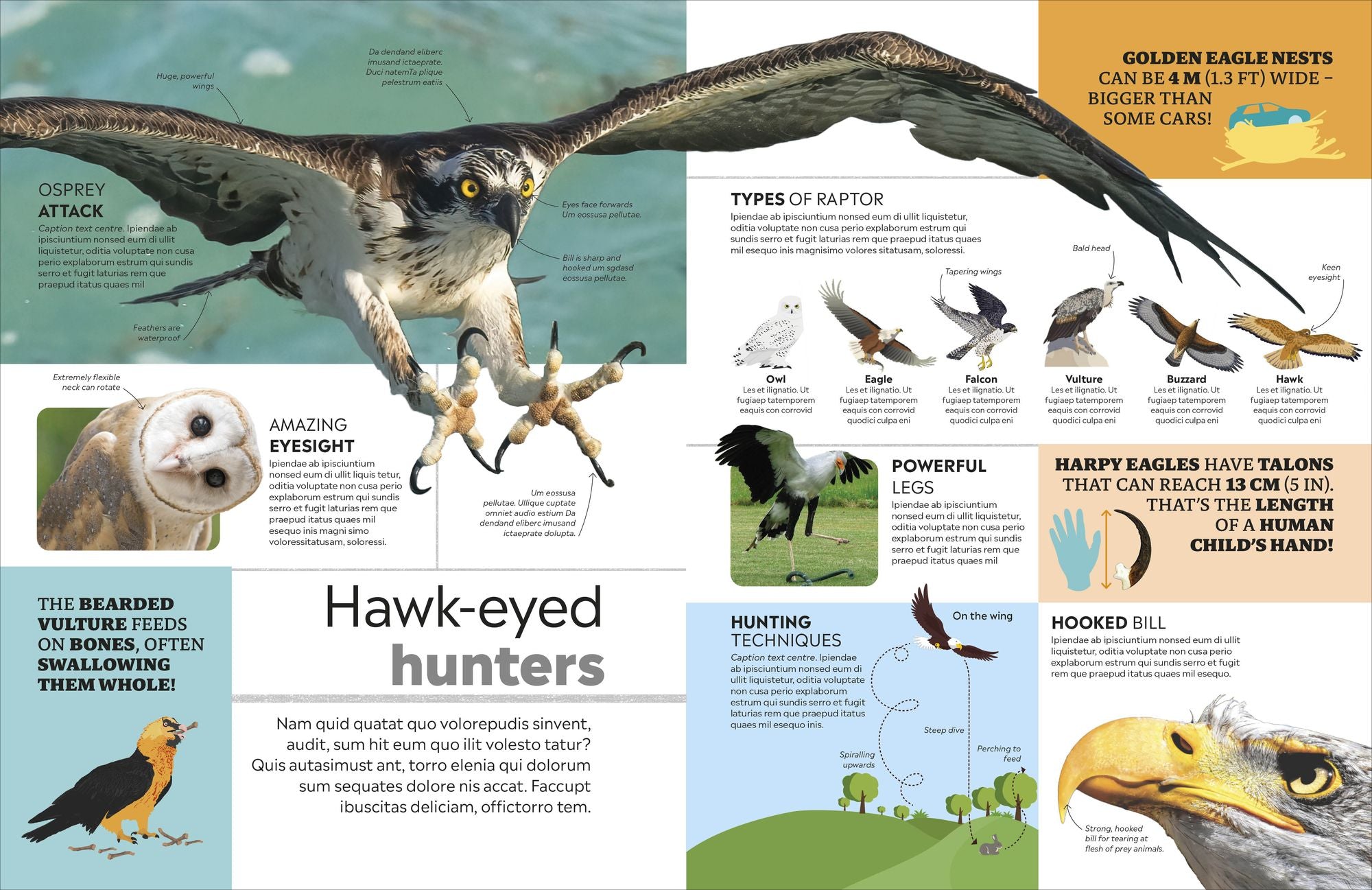 Eyewitness Encyclopedia of Animals