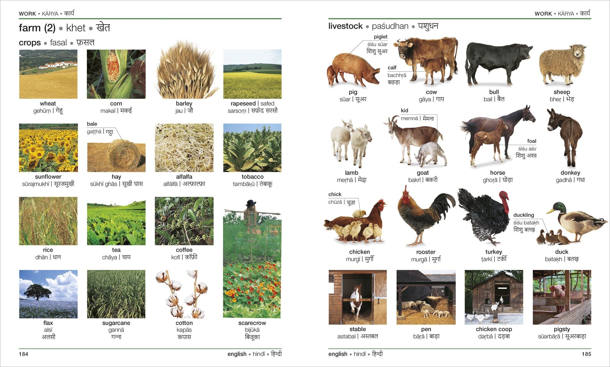Hindi - English Bilingual Visual Dictionary