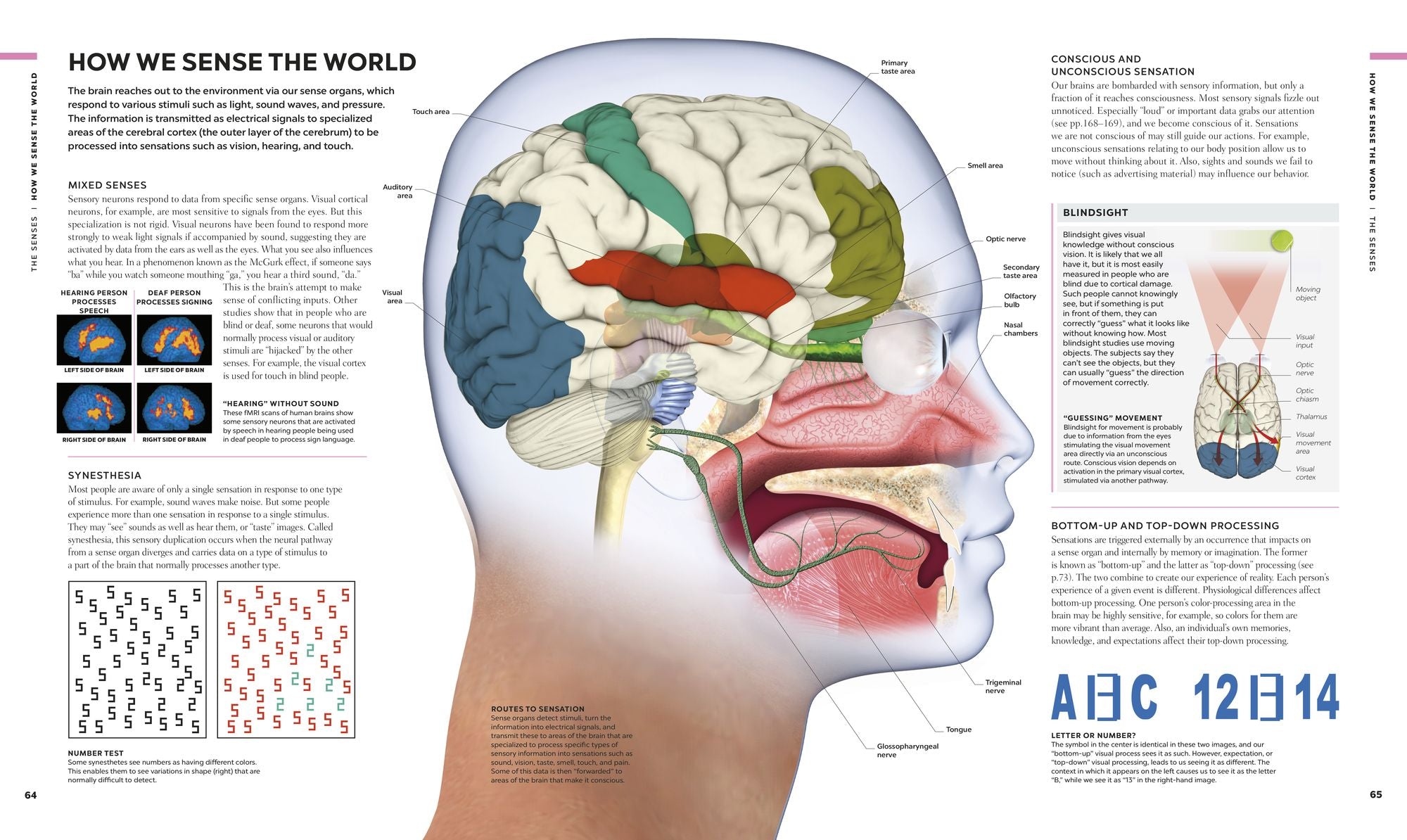 The Human Brain Book: A Visual Guide to the Structure and Function