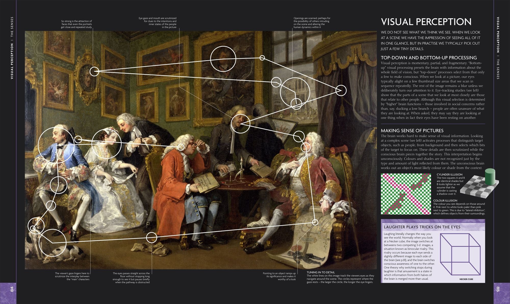 The Human Brain Book: A Visual Guide to the Structure and Function