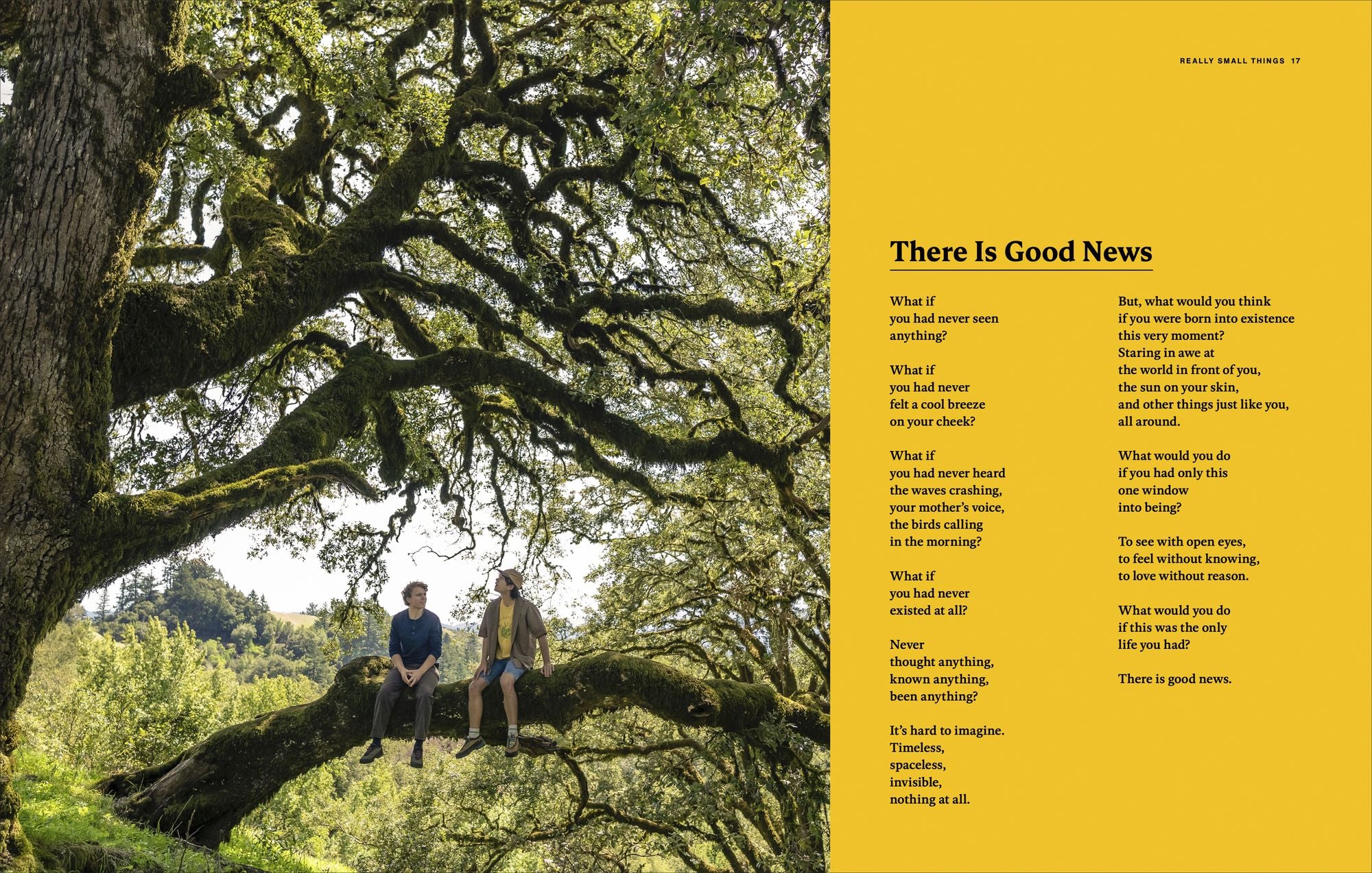 We Love You: An Optimistic Guide to Life on a Rock Floating Through Space