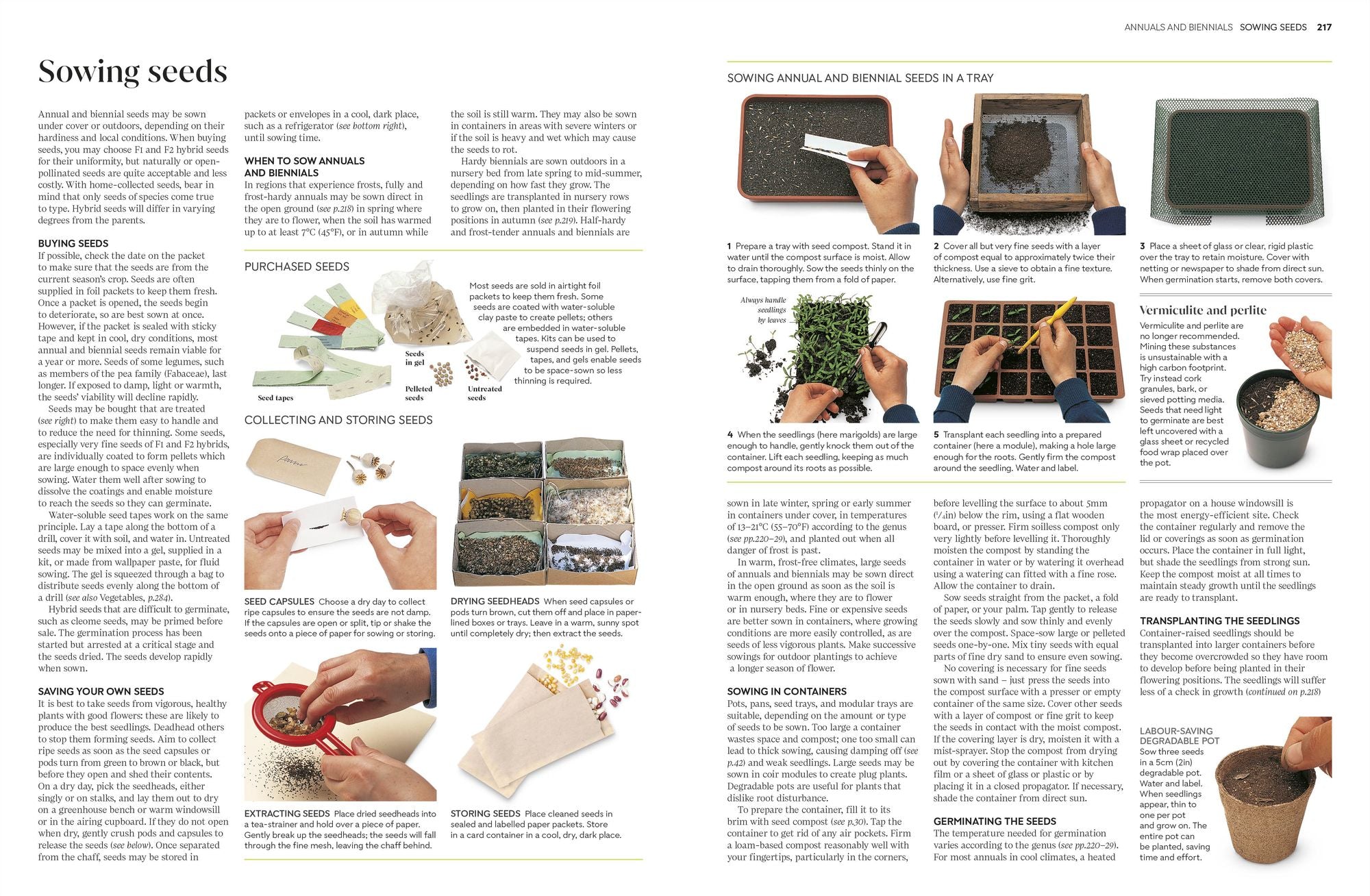 Propagating Plants: How to Grow Plants for Free
