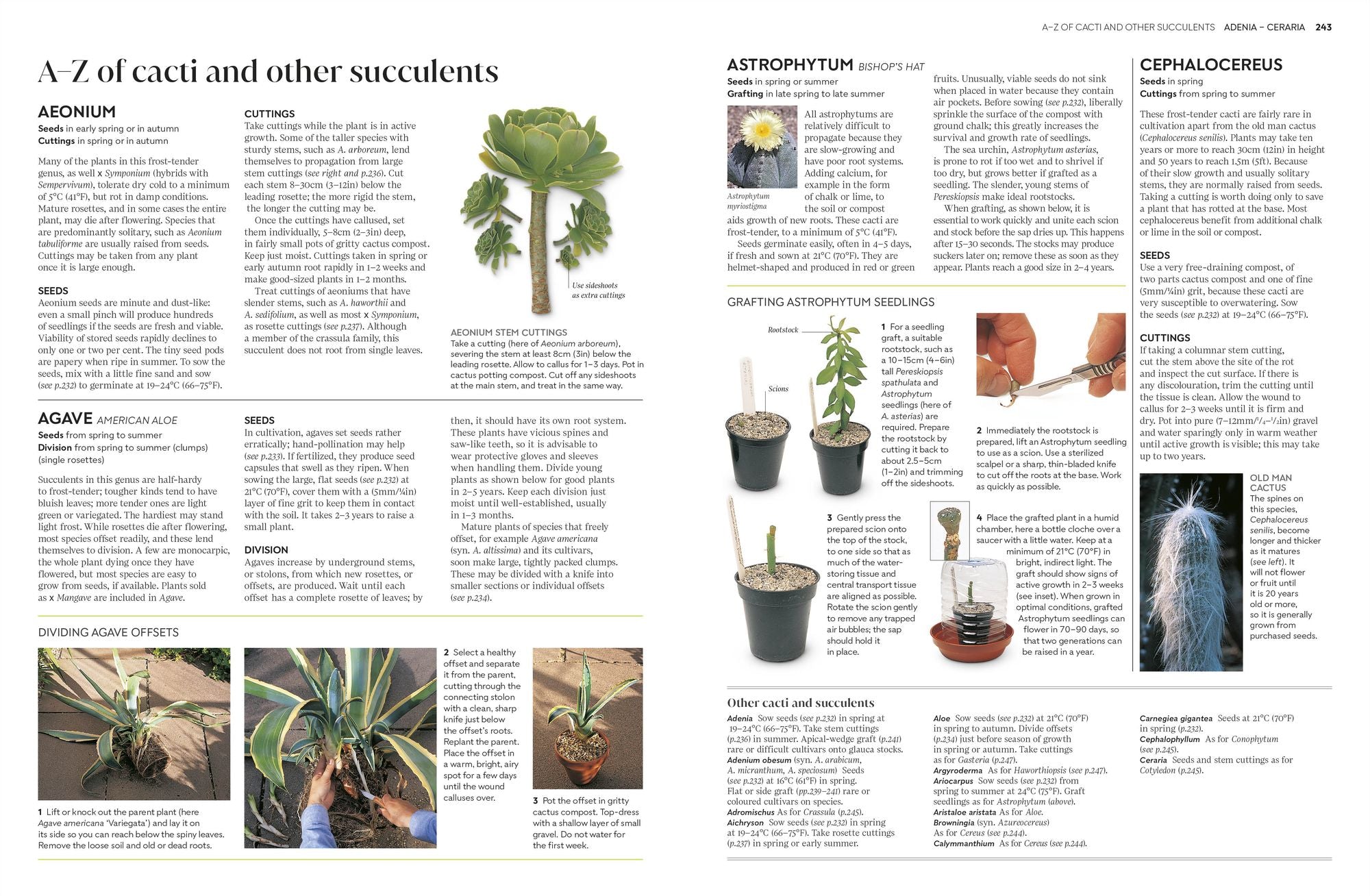 Propagating Plants: How to Grow Plants for Free