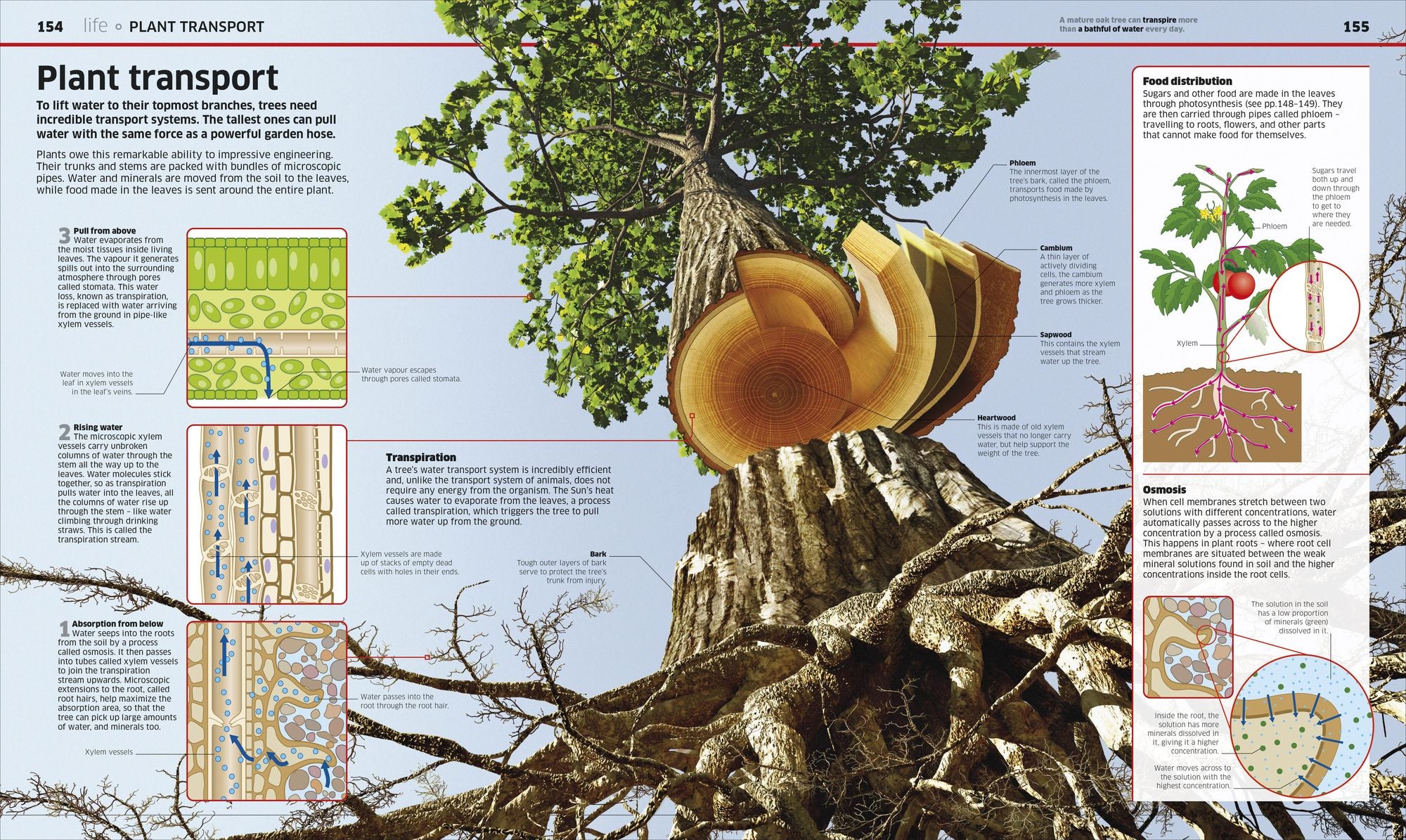 Science!, 2nd Edition