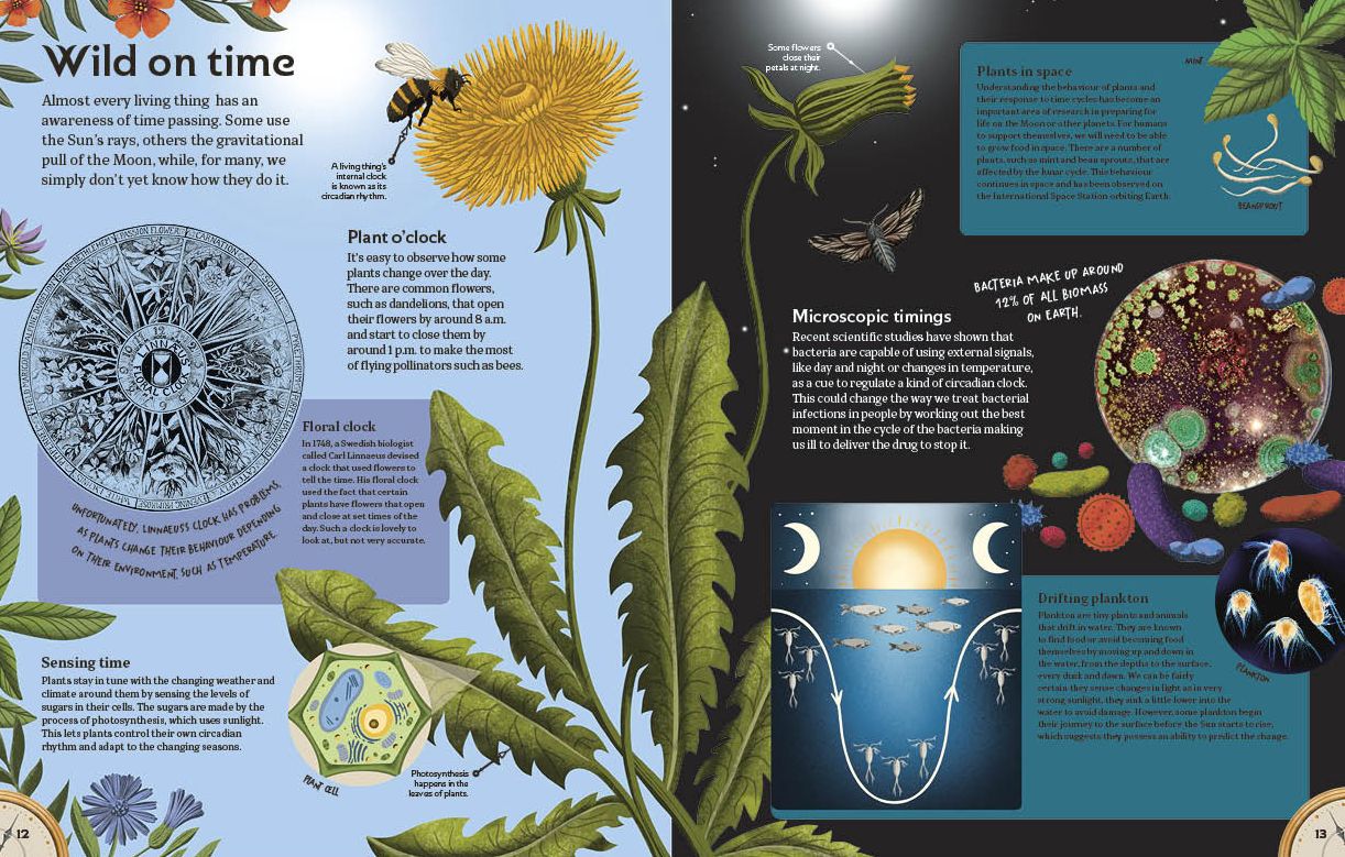 About Time: A Children's Guide to the History and Science of Time
