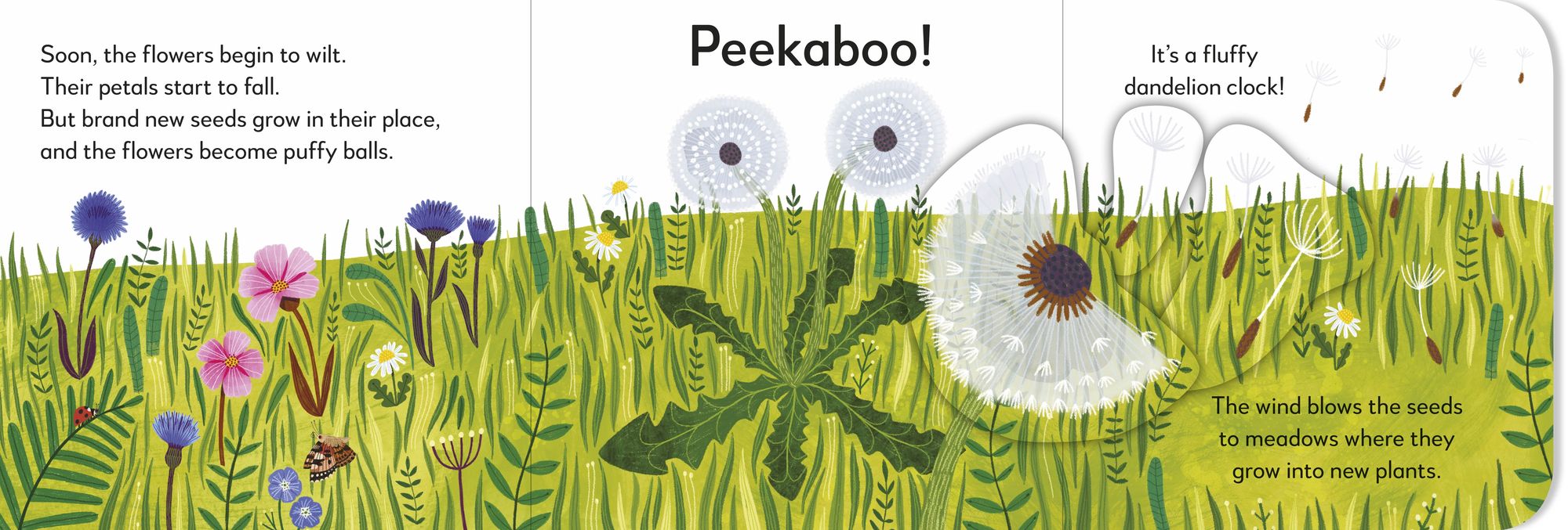 Pop-Up Peekaboo! Flower: A Nature Surprise Under Every Flap!