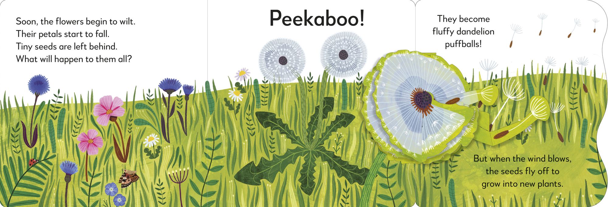 Pop-Up Peekaboo! Flower: A Nature Surprise Under Every Flap!