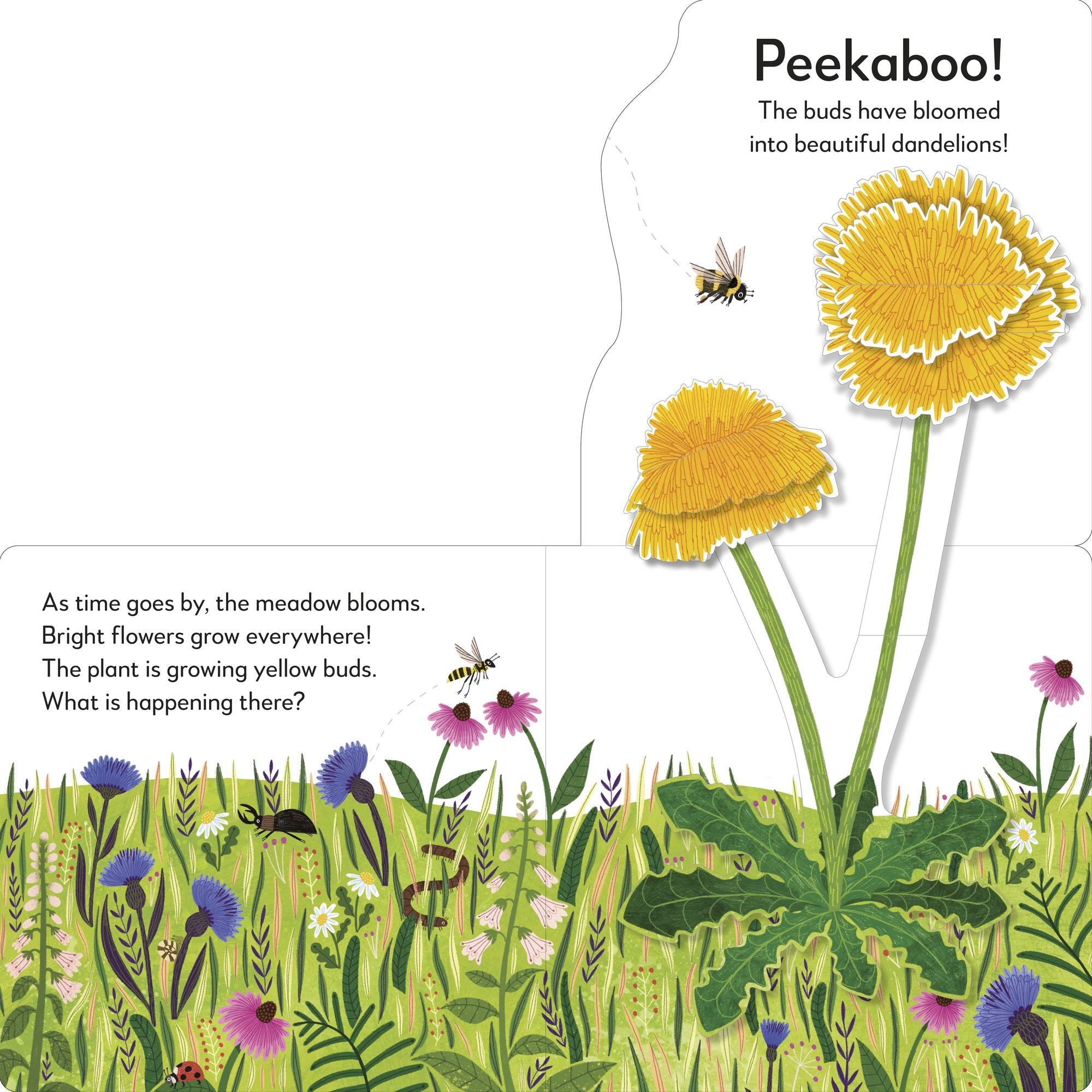 Pop-Up Peekaboo! Flower: A Nature Surprise Under Every Flap!