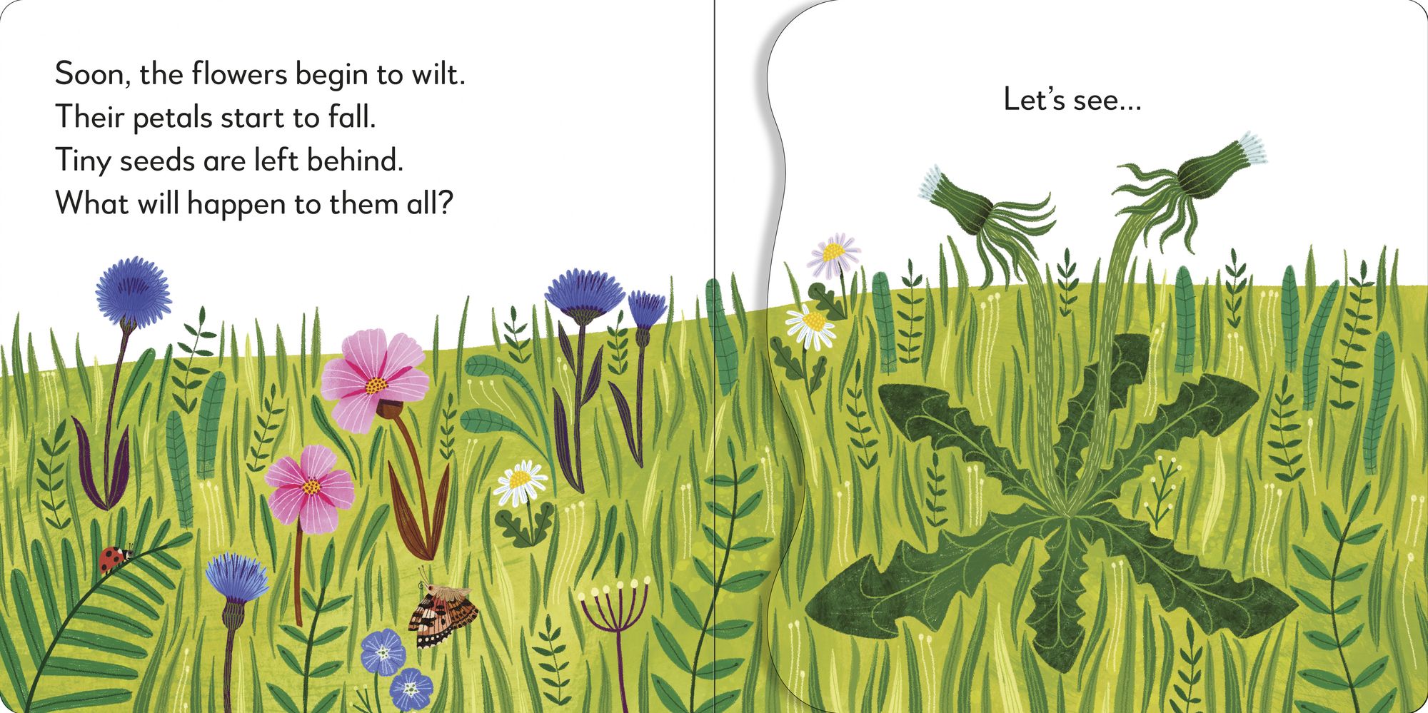 Pop-Up Peekaboo! Flower: A Nature Surprise Under Every Flap!
