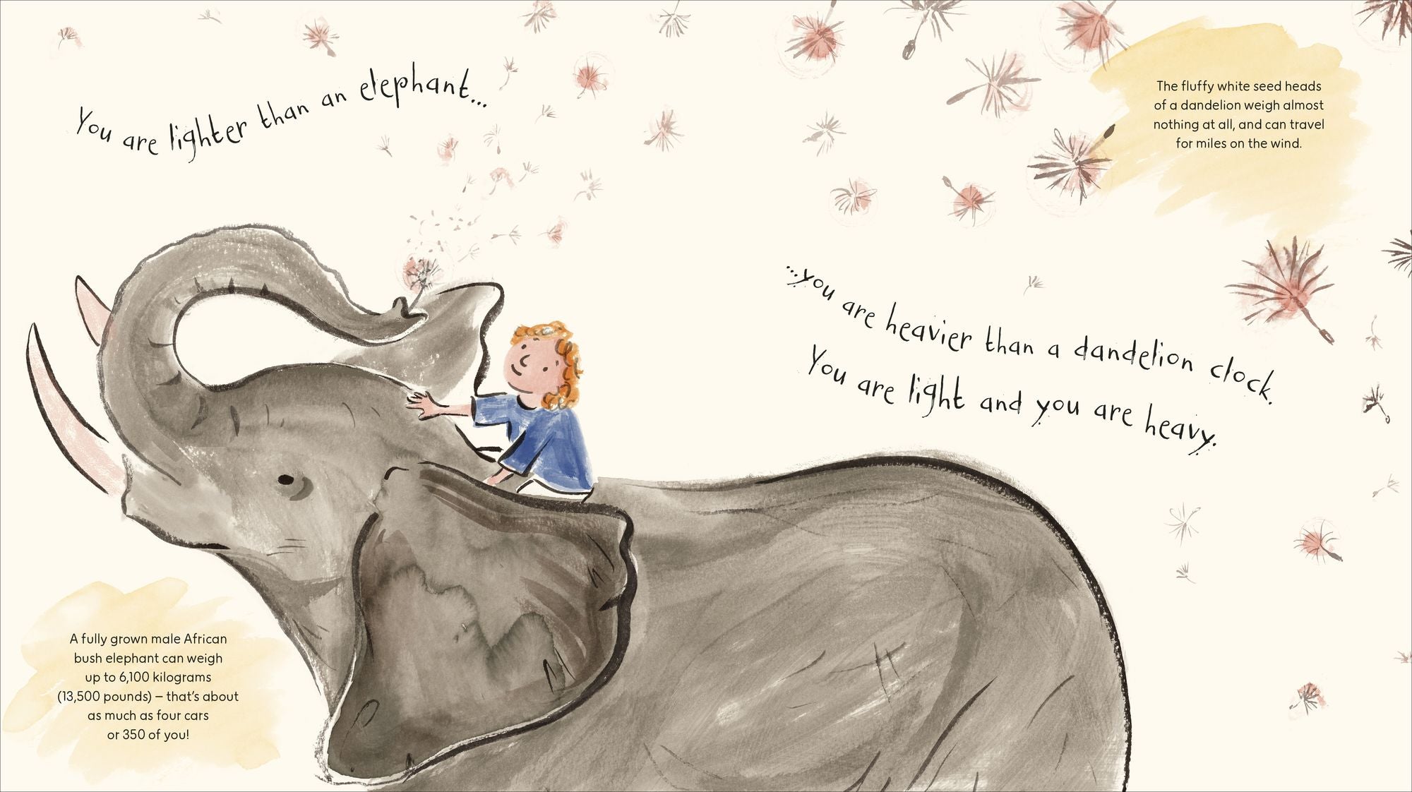 You are Younger than a Star