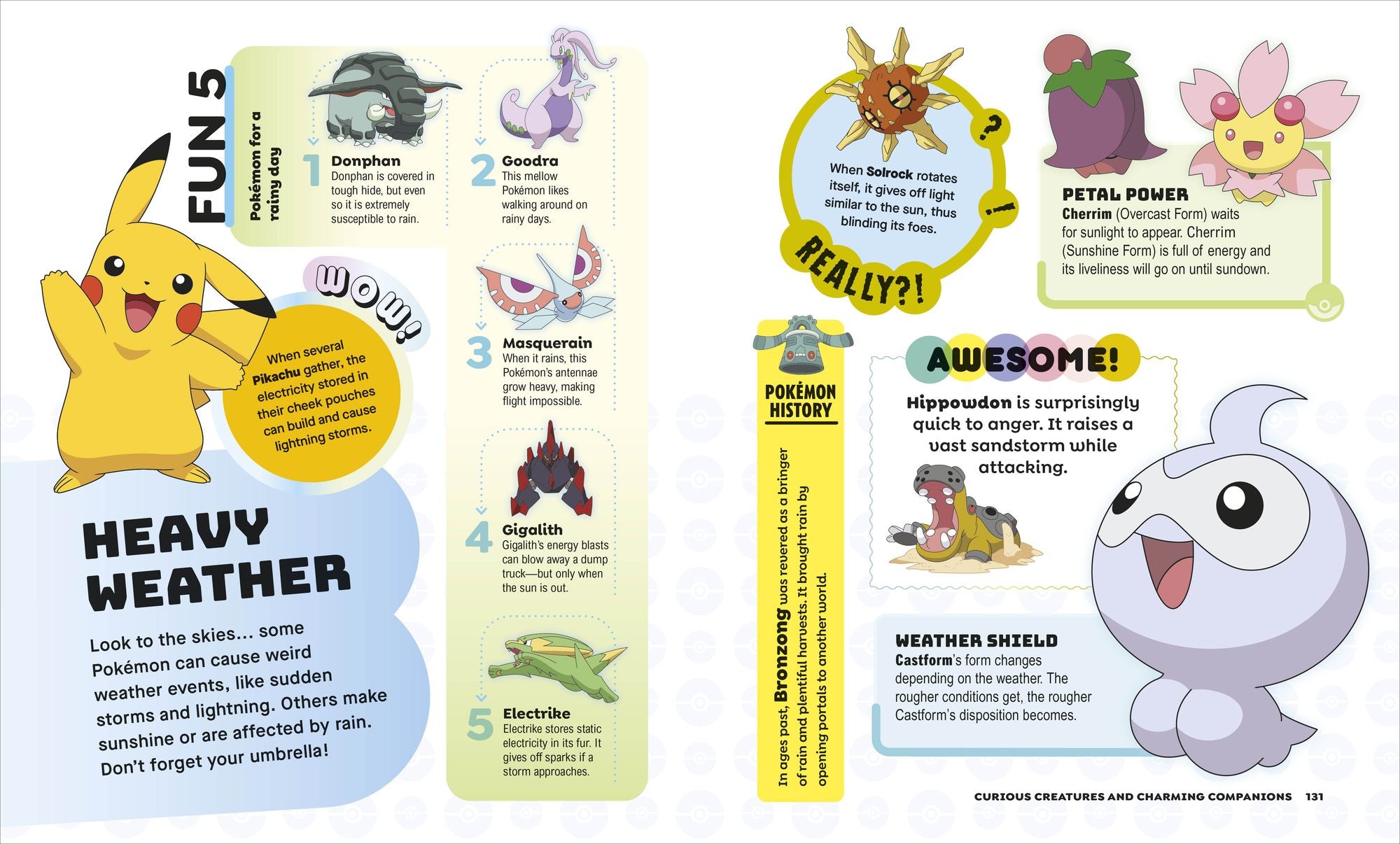 Pokémon Big Book of Facts