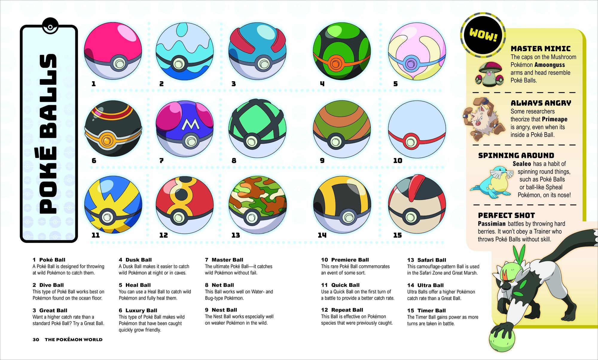 Pokémon Big Book of Facts