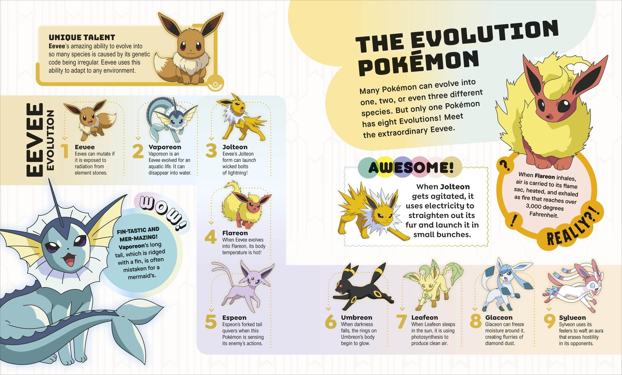 Pokémon Big Book of Facts