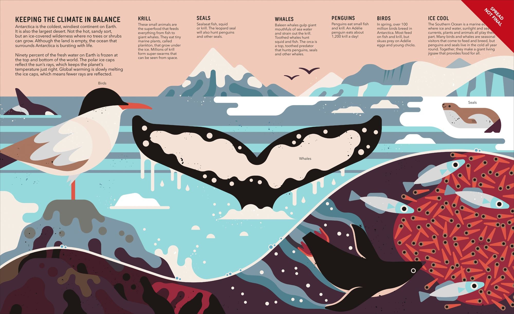 Zoom Out Natural World: Discover 12 Iconic Animals and Their Incredible Ecosystems