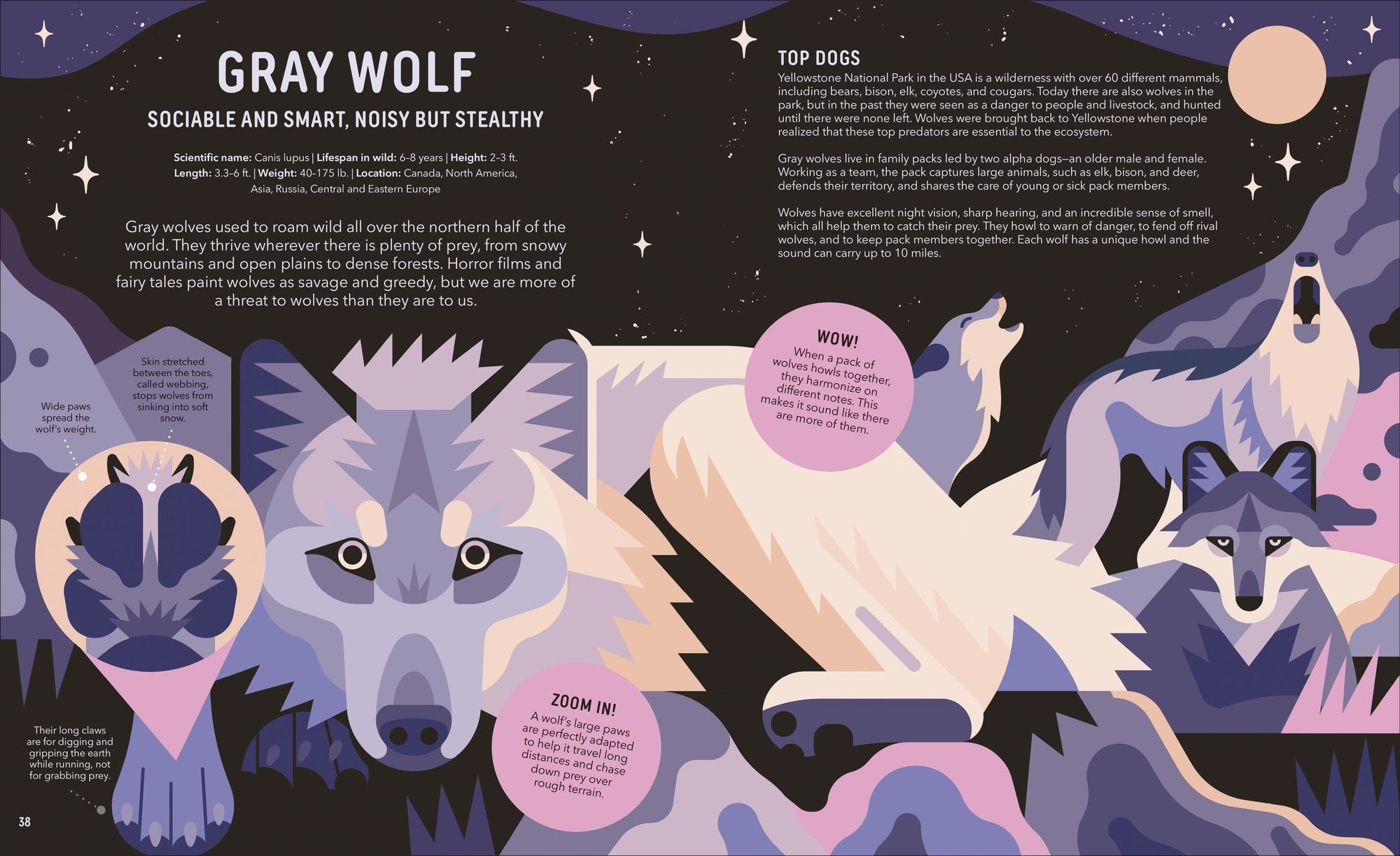Zoom Out Natural World: Discover 12 Iconic Animals and Their Incredible Ecosystems
