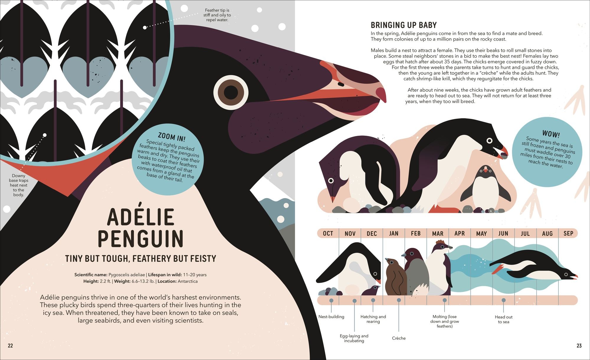 Zoom Out Natural World: Discover 12 Iconic Animals and Their Incredible Ecosystems