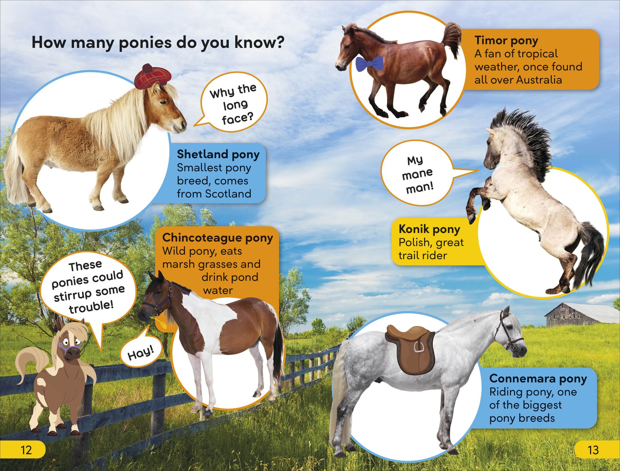 DK Super Readers Level 2 Prancing Pony