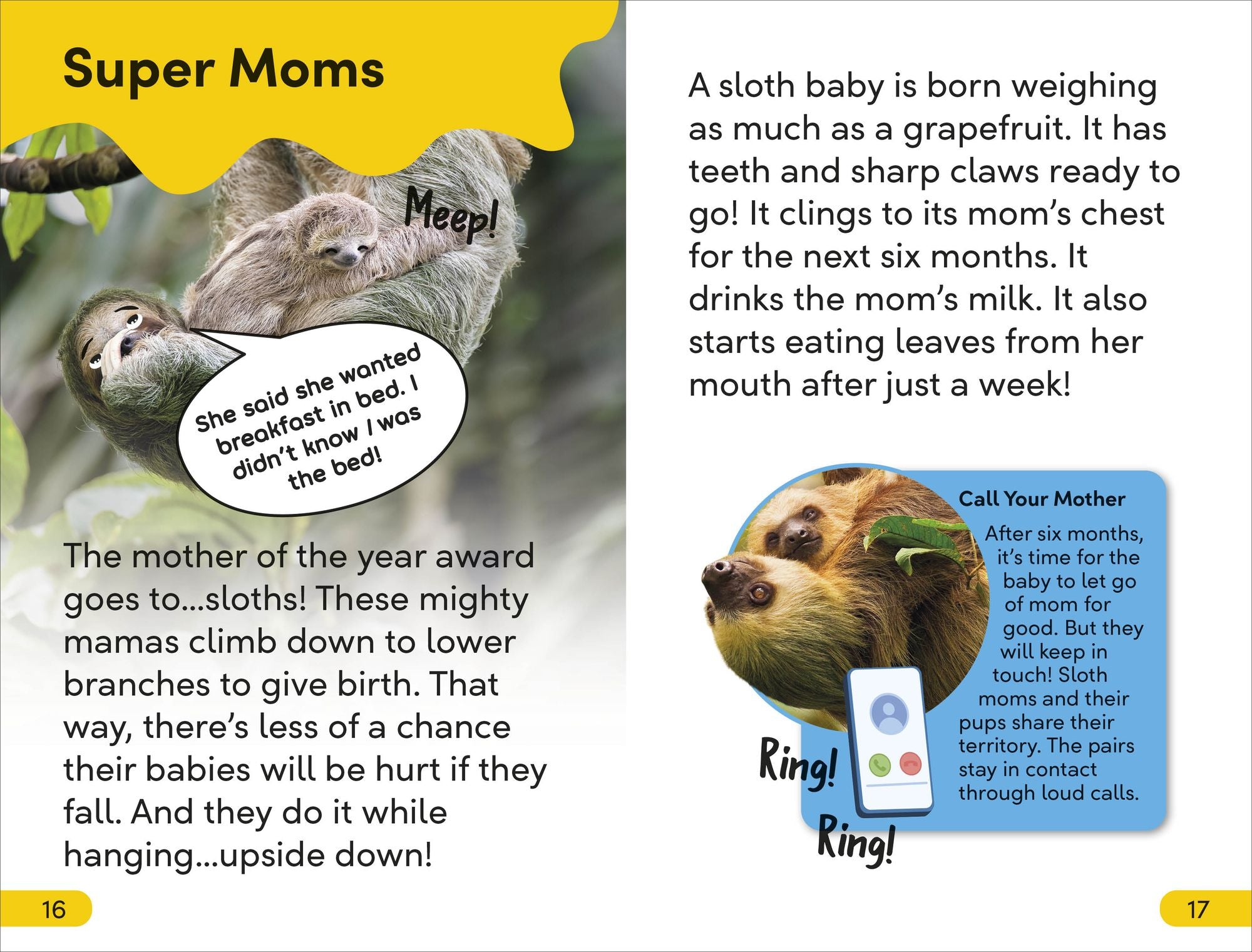 DK Super Readers Level 2 Sassy Sloth