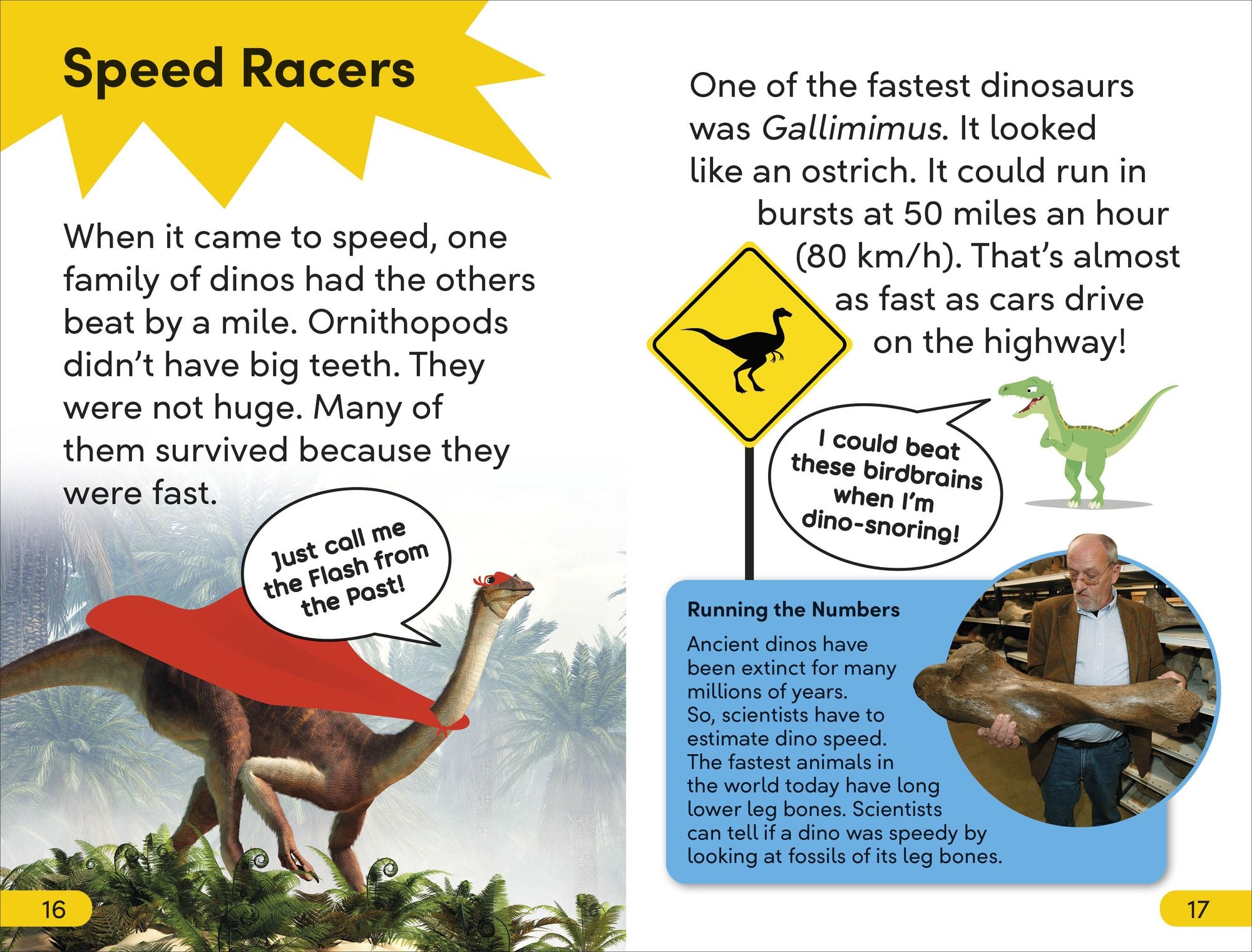 DK Super Readers Level 2 Daring Dinosaur