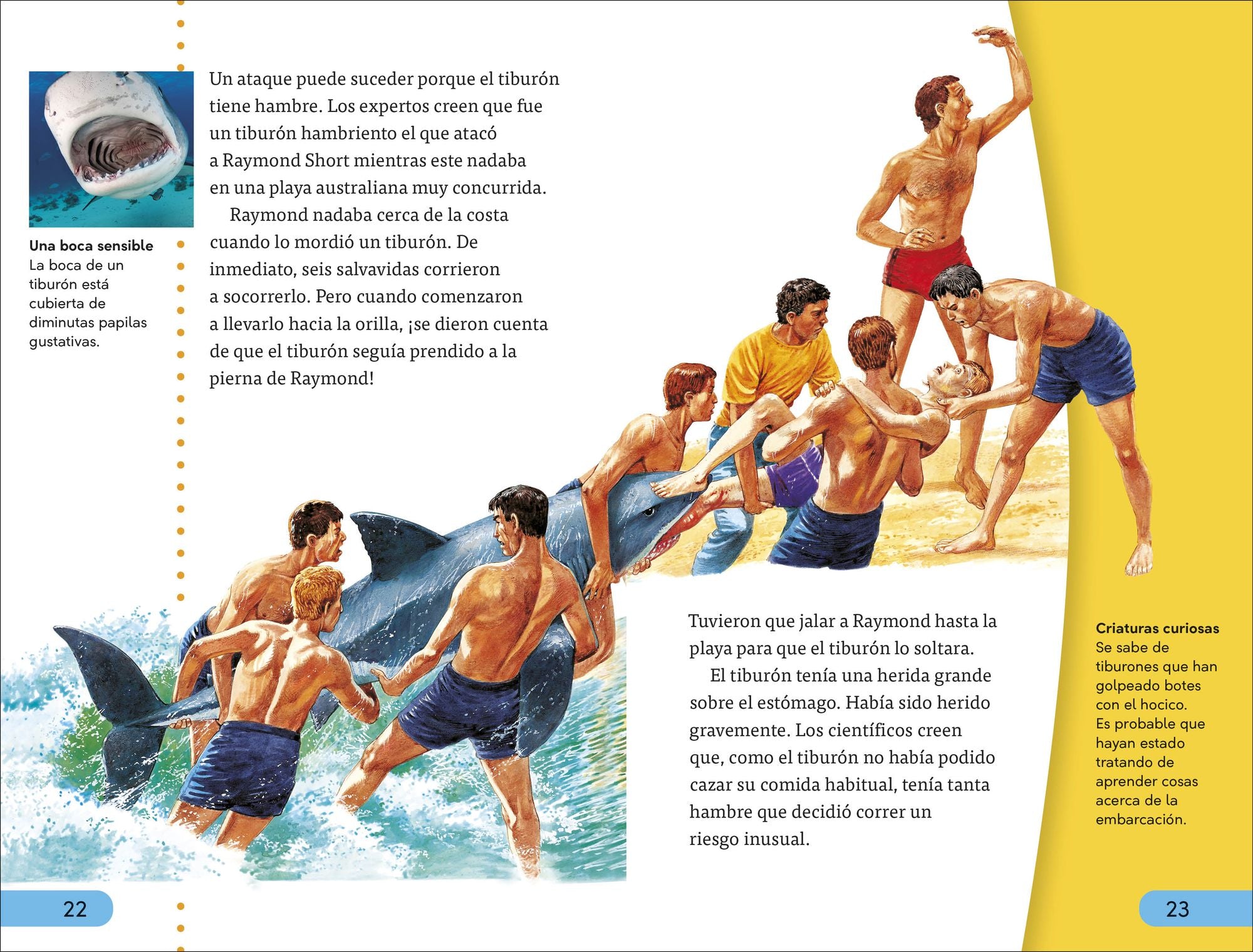 DK Super Readers Level 4 Spanish Translation Shark Attack - Ataques de tiburones