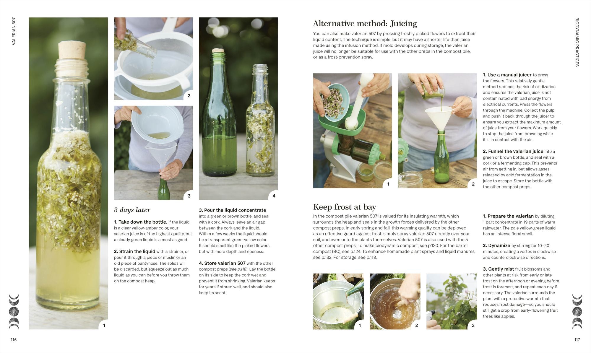 Biodynamic Gardening: Organic Growing Guided by the Moon for Bountiful Harvests