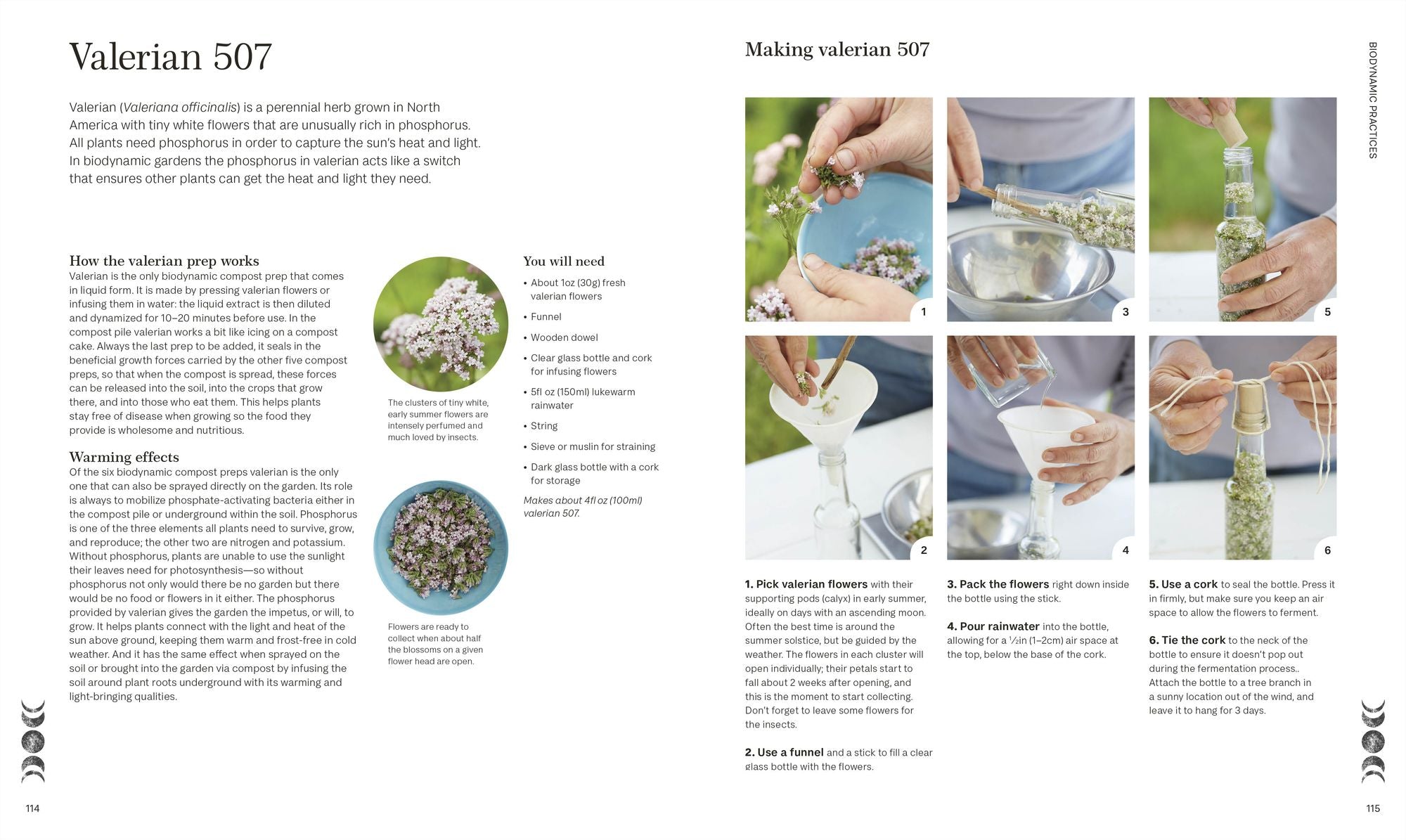 Biodynamic Gardening: Organic Growing Guided by the Moon for Bountiful Harvests