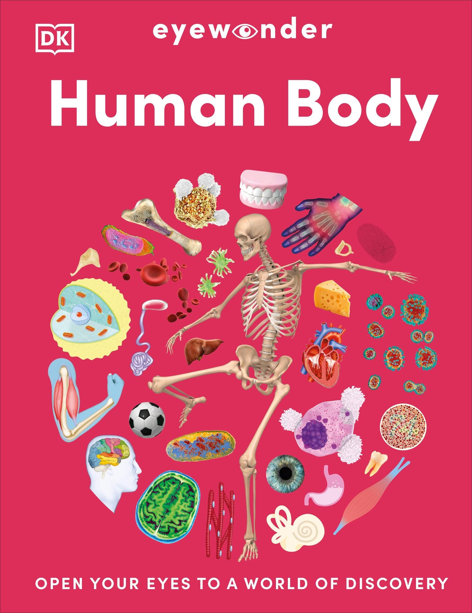 Eyewonder Human Body: Open Your Eyes to a World of Discovery