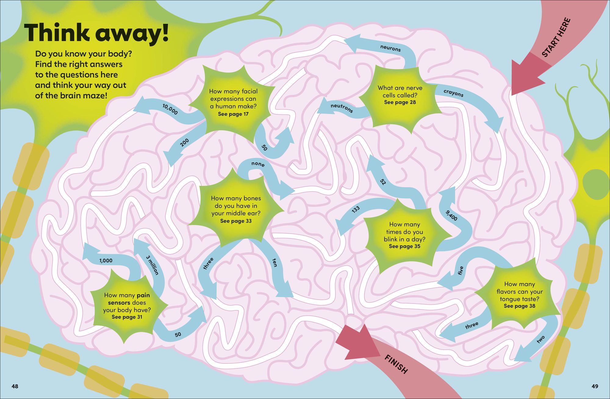 Eyewonder Human Body: Open Your Eyes to a World of Discovery