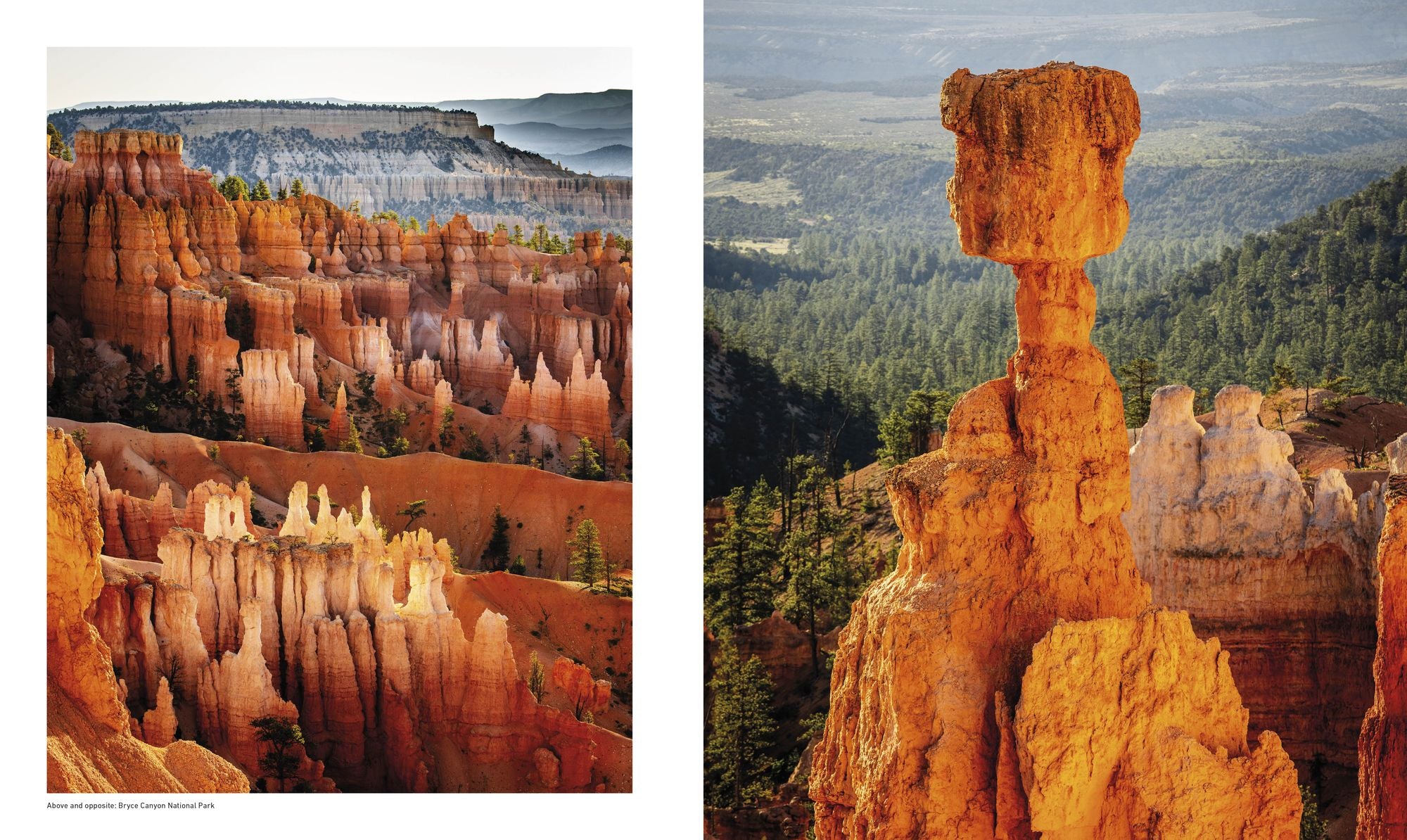 Otherworldly America: Explore the Most Unique Natural Wonders of the United States