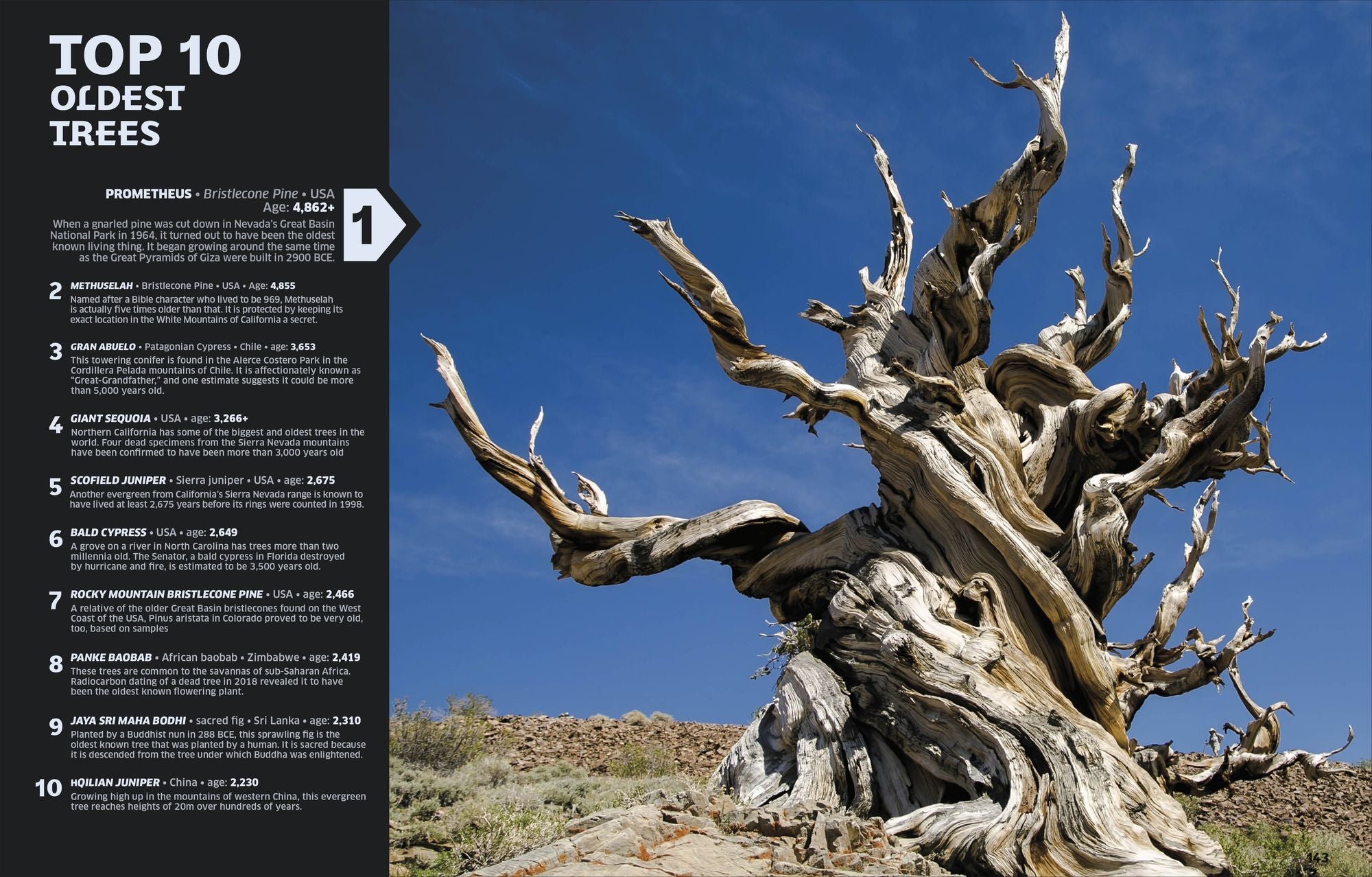 Our World in Numbers: Planet Earth
