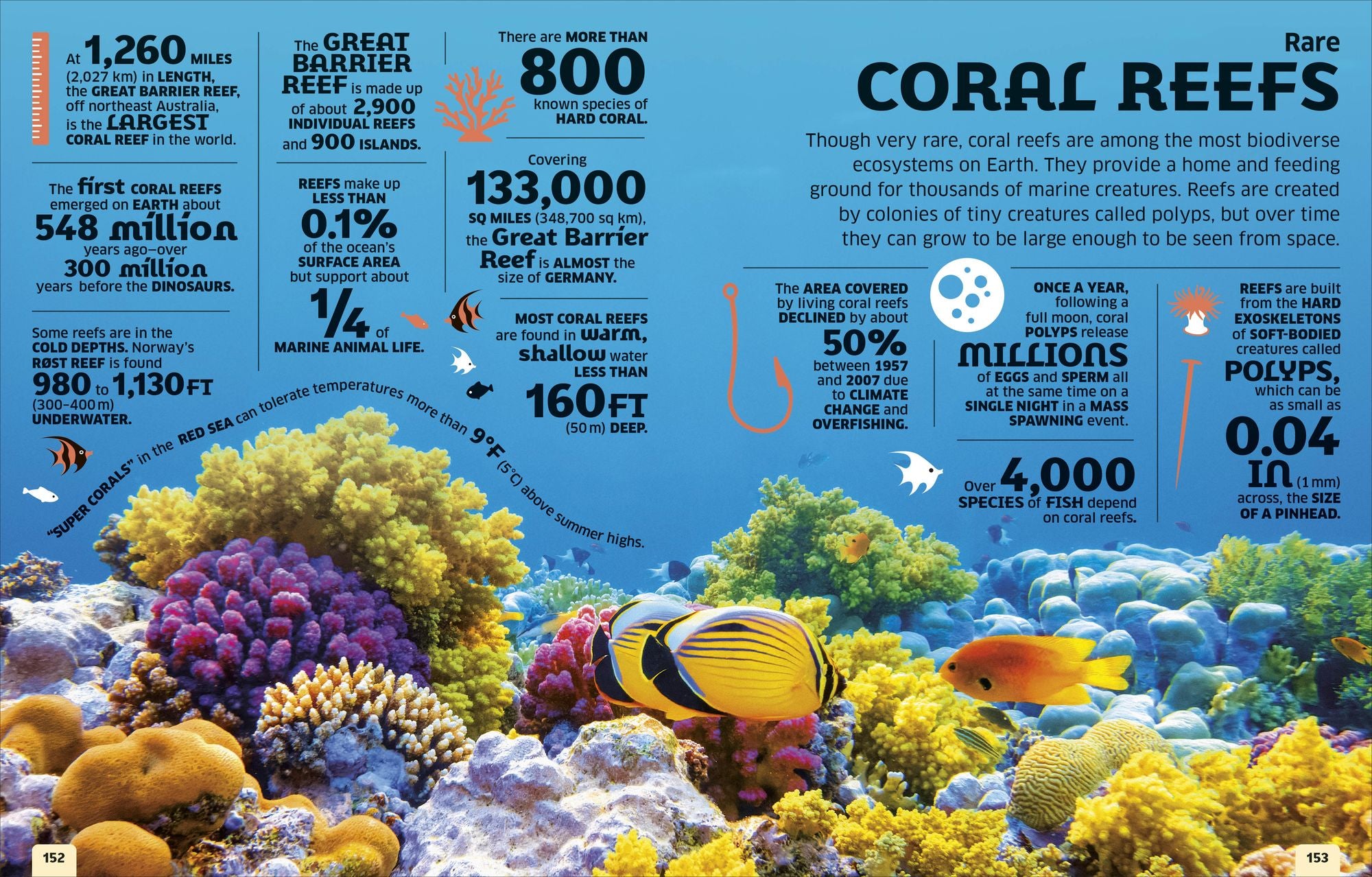 Our World in Numbers: Planet Earth