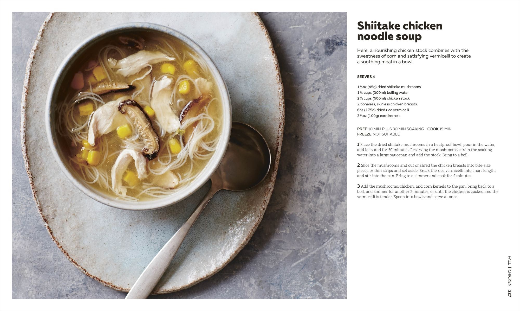 The Soup Book: 200 Recipes, Season by Season