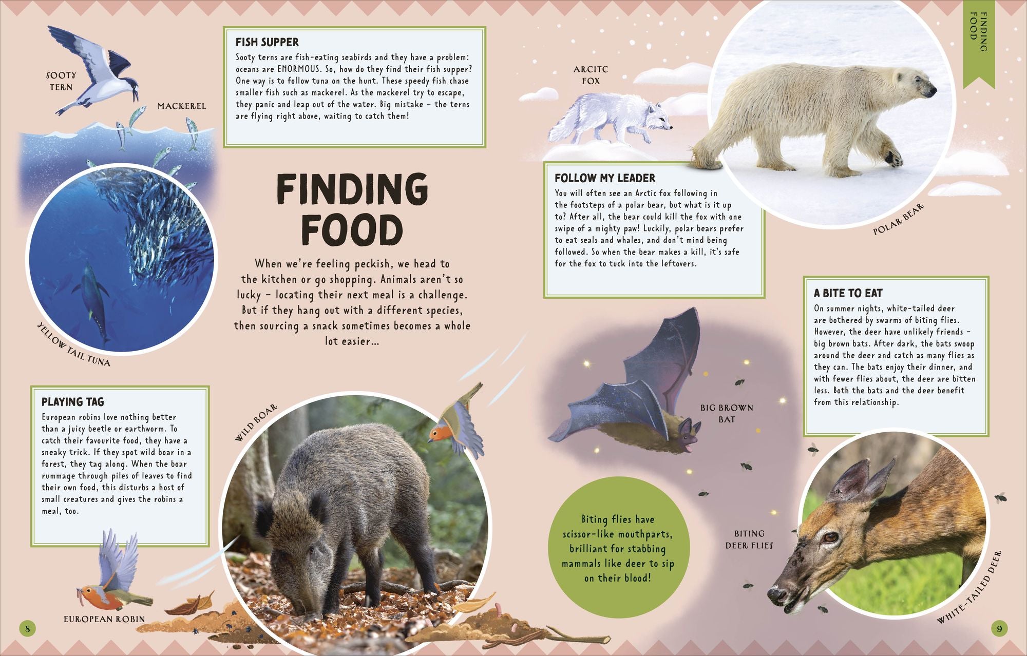 Animal Partnerships: Radical Relationships, Unlikely Alliances, and Other Animal Teams