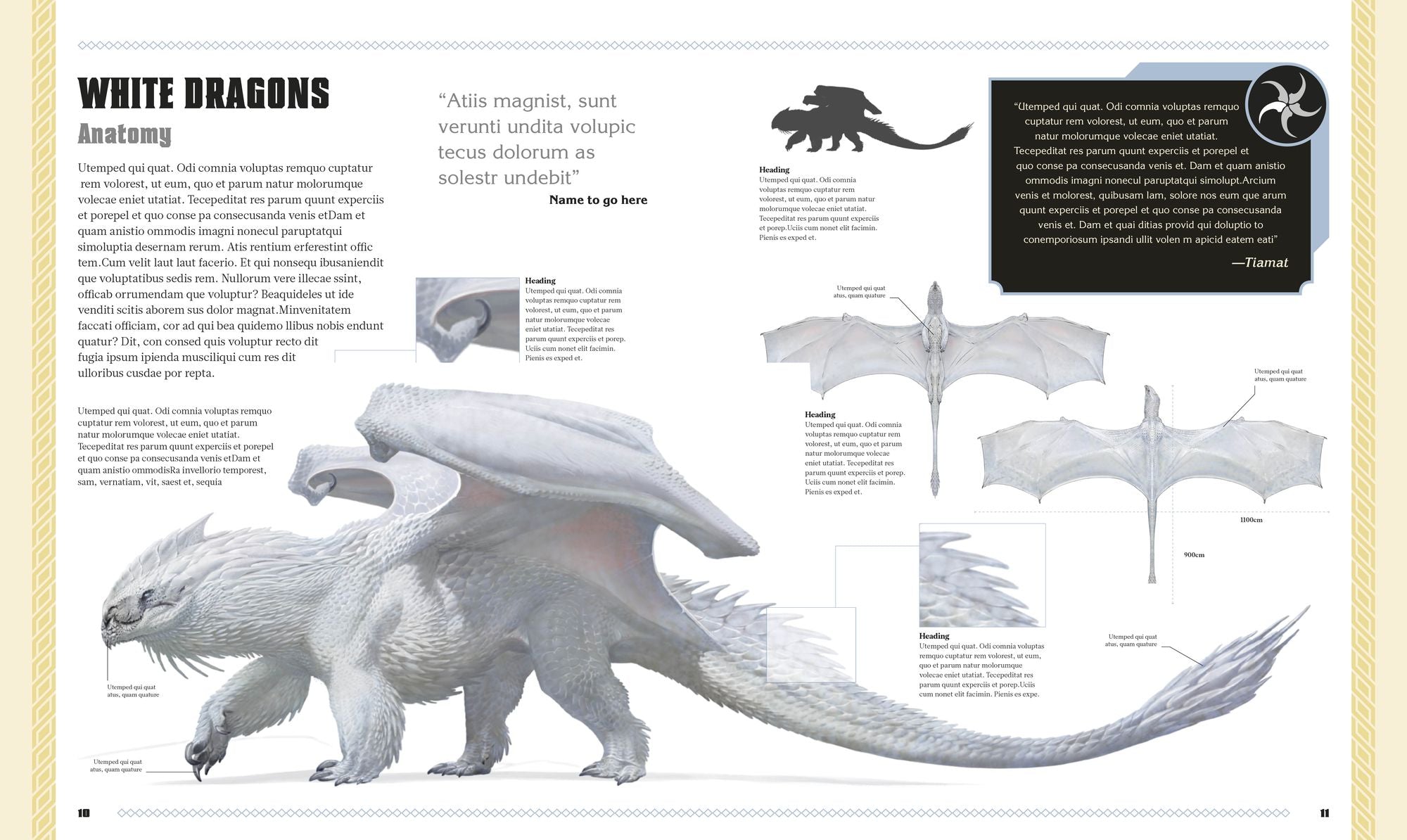 Dungeons and Dragons The Book of Dragons