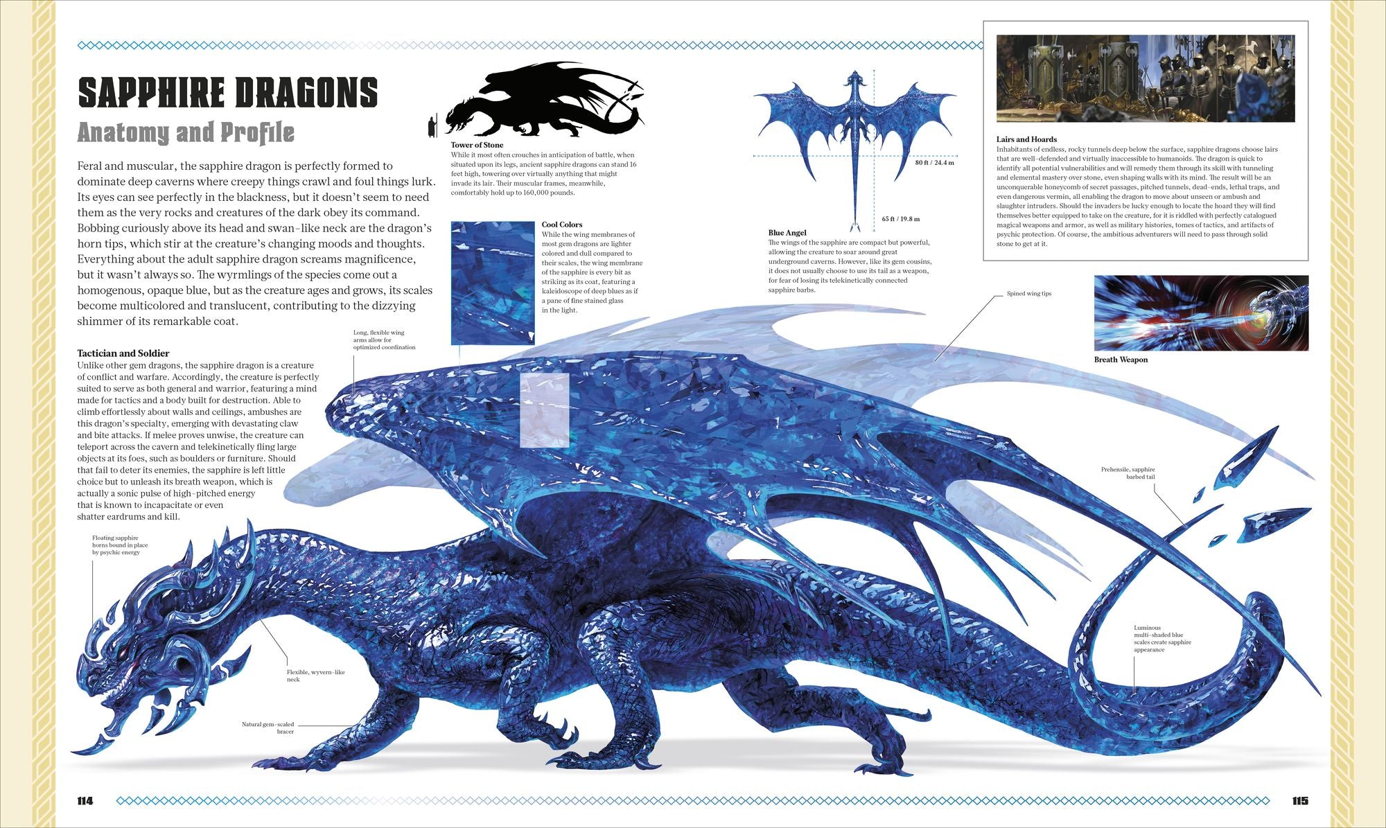 Dungeons and Dragons The Book of Dragons