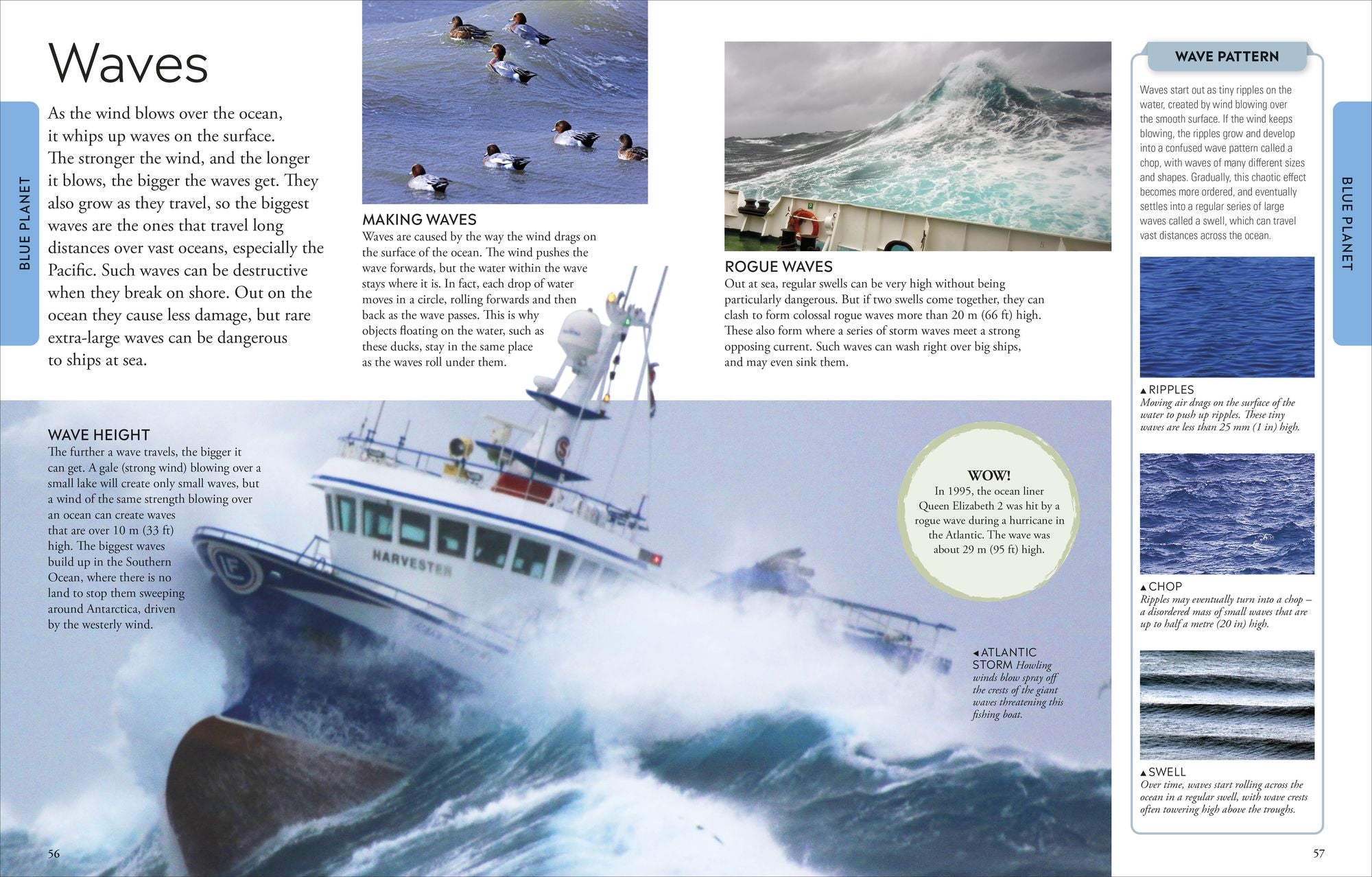 Ocean: A Visual Encyclopedia, 2nd Edition