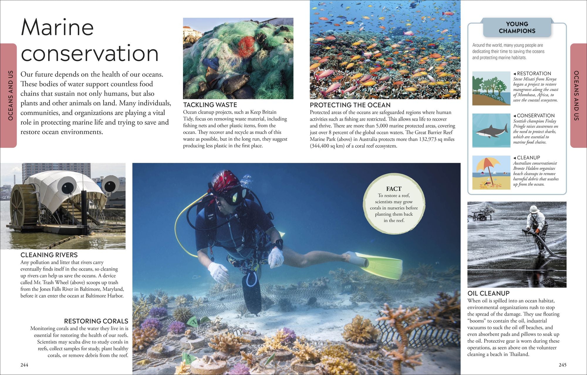 Ocean: A Visual Encyclopedia, 2nd Edition