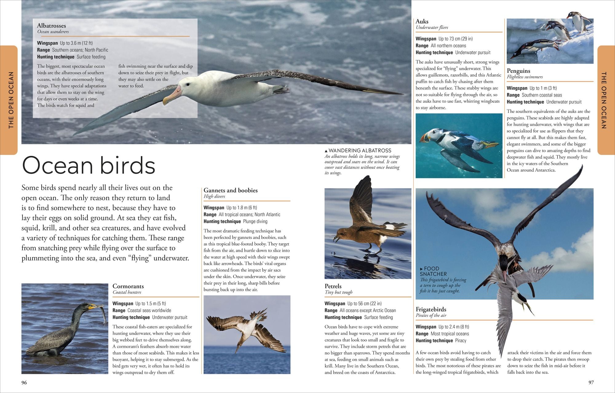 Ocean: A Visual Encyclopedia, 2nd Edition