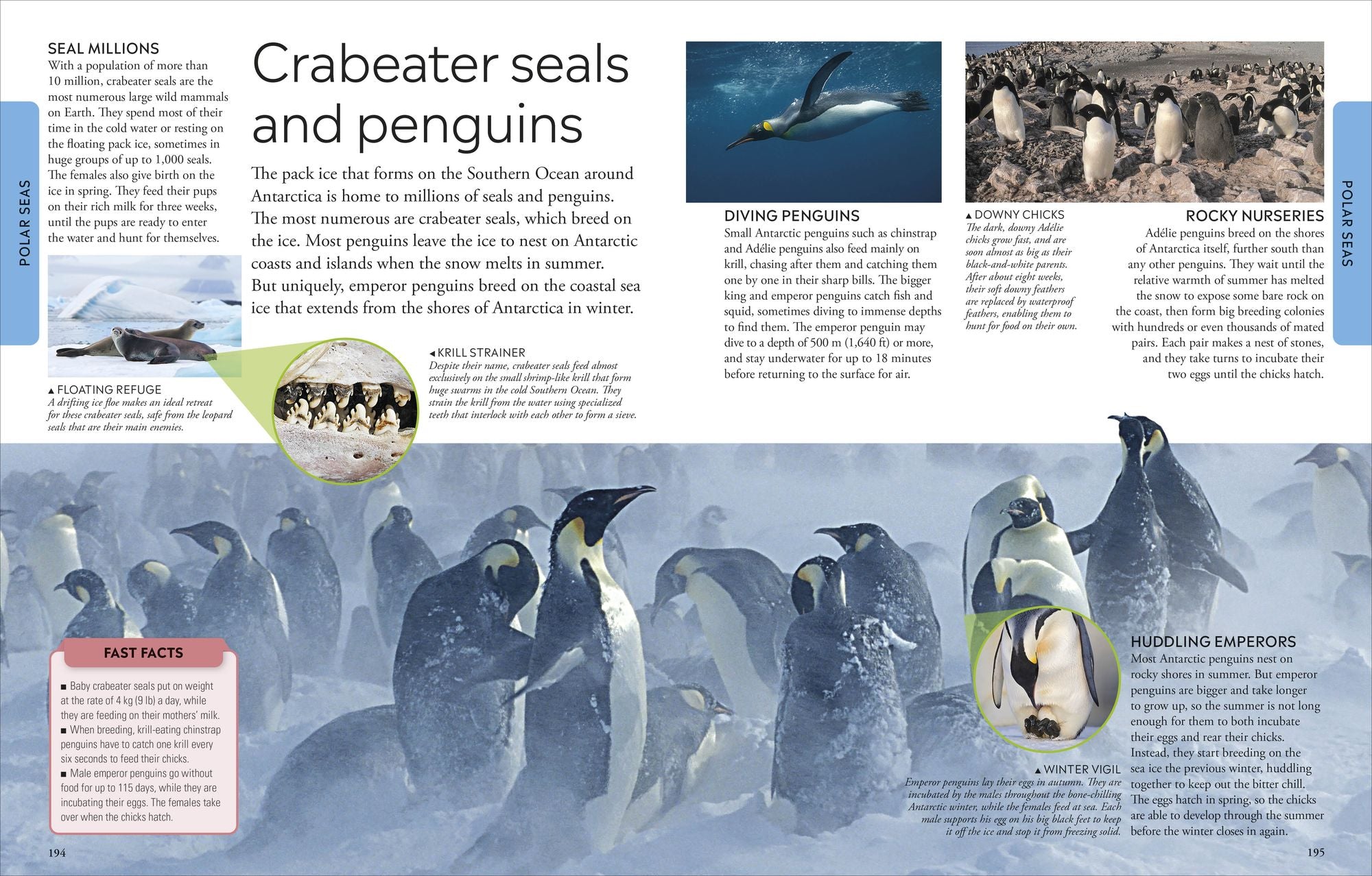 Ocean: A Visual Encyclopedia, 2nd Edition