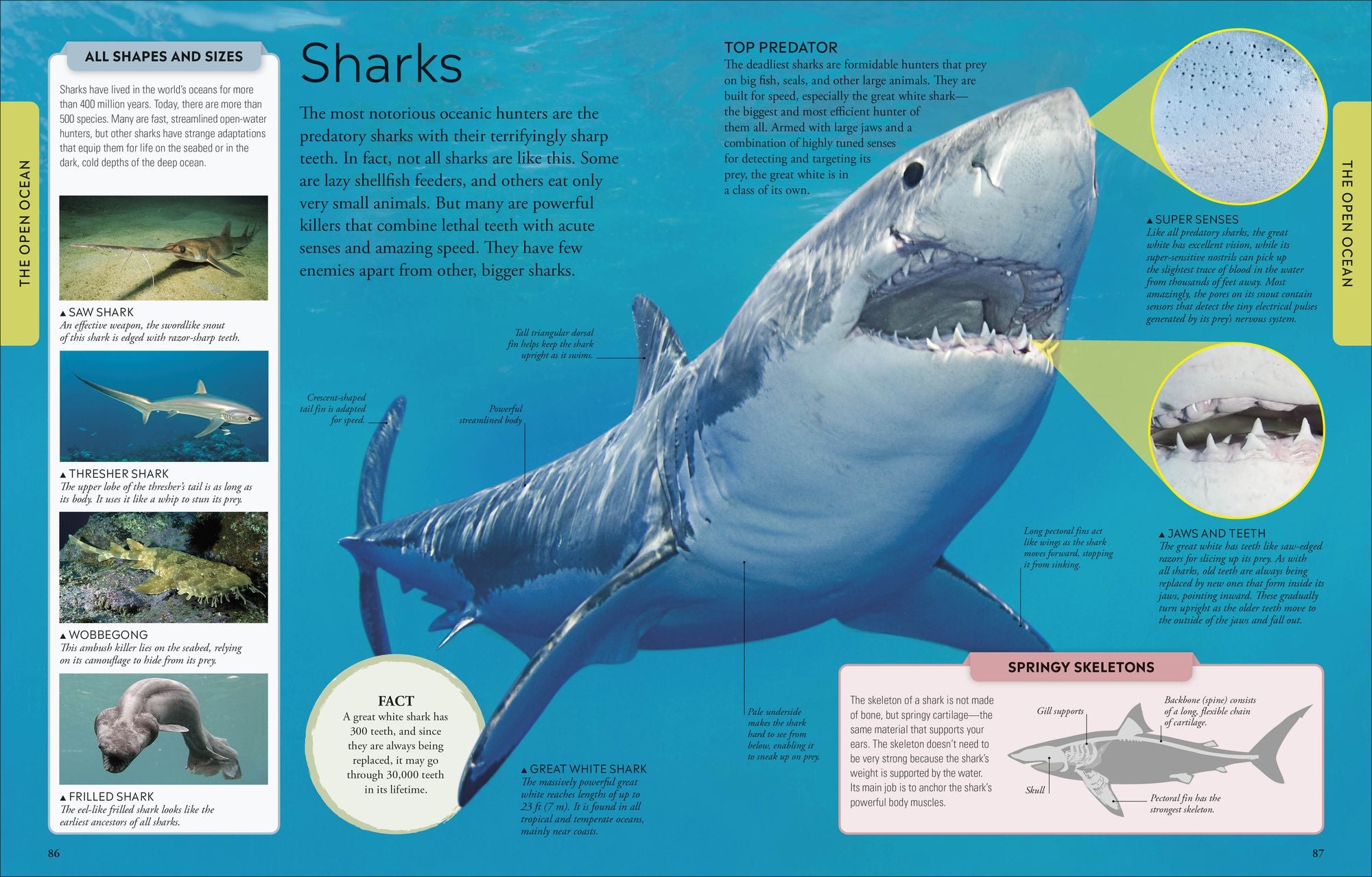 Ocean: A Visual Encyclopedia, 2nd Edition