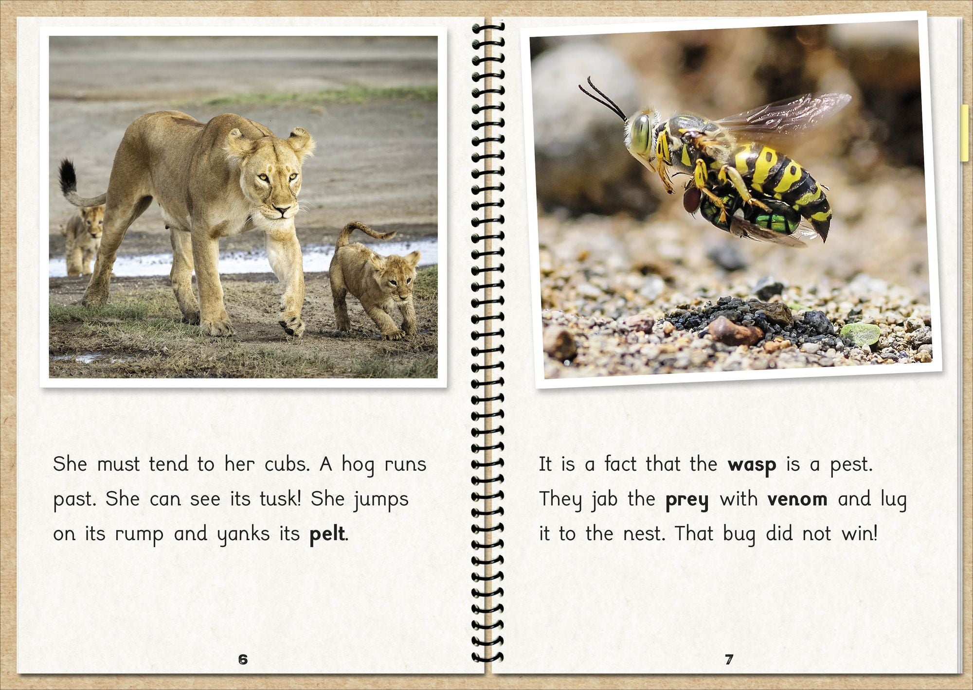 Phonic Books The Fact Files 1: Consonant blends and digraphs, suffixes -ed and -ing
