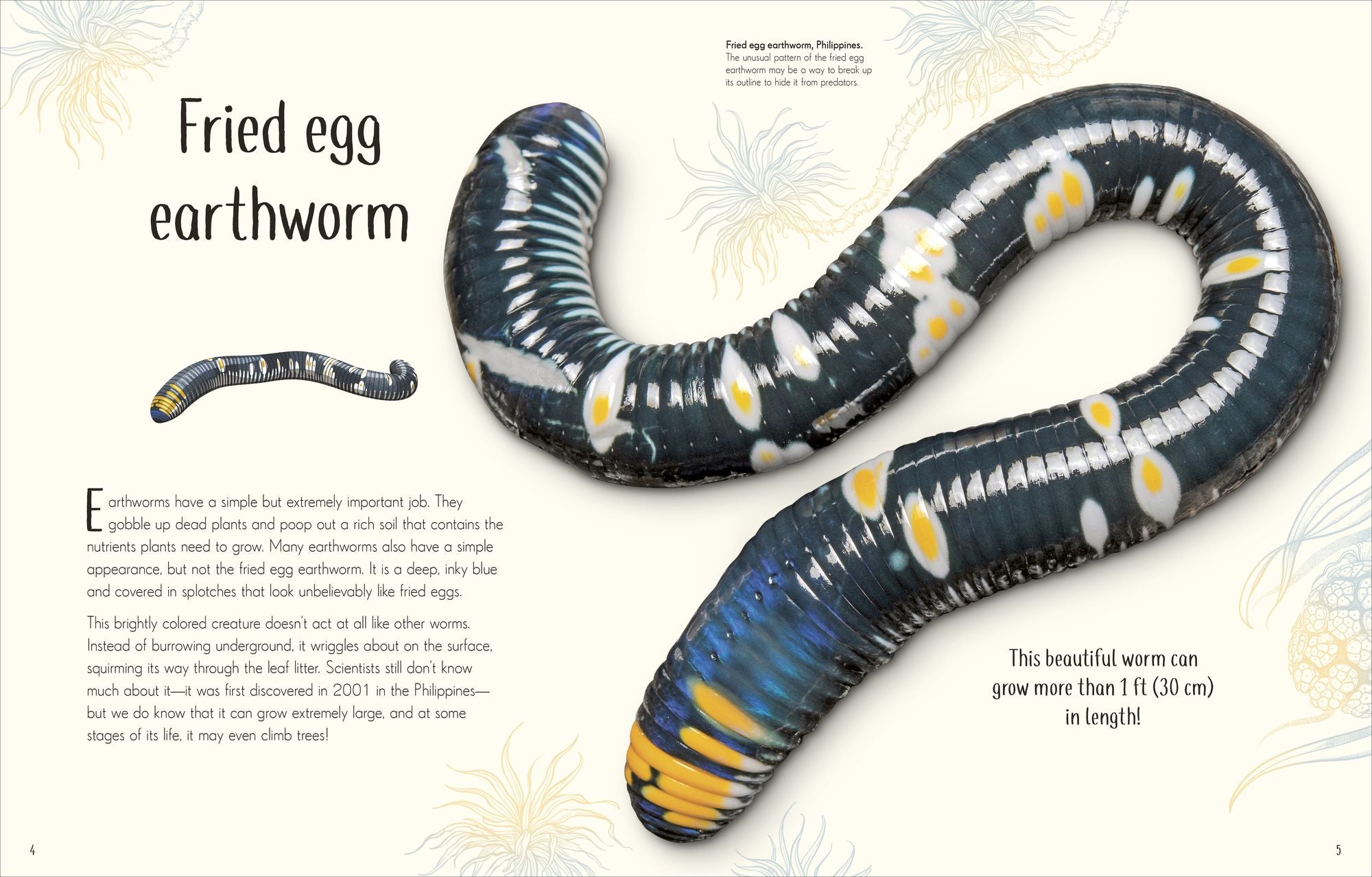 An Anthology of Remarkable Bugs